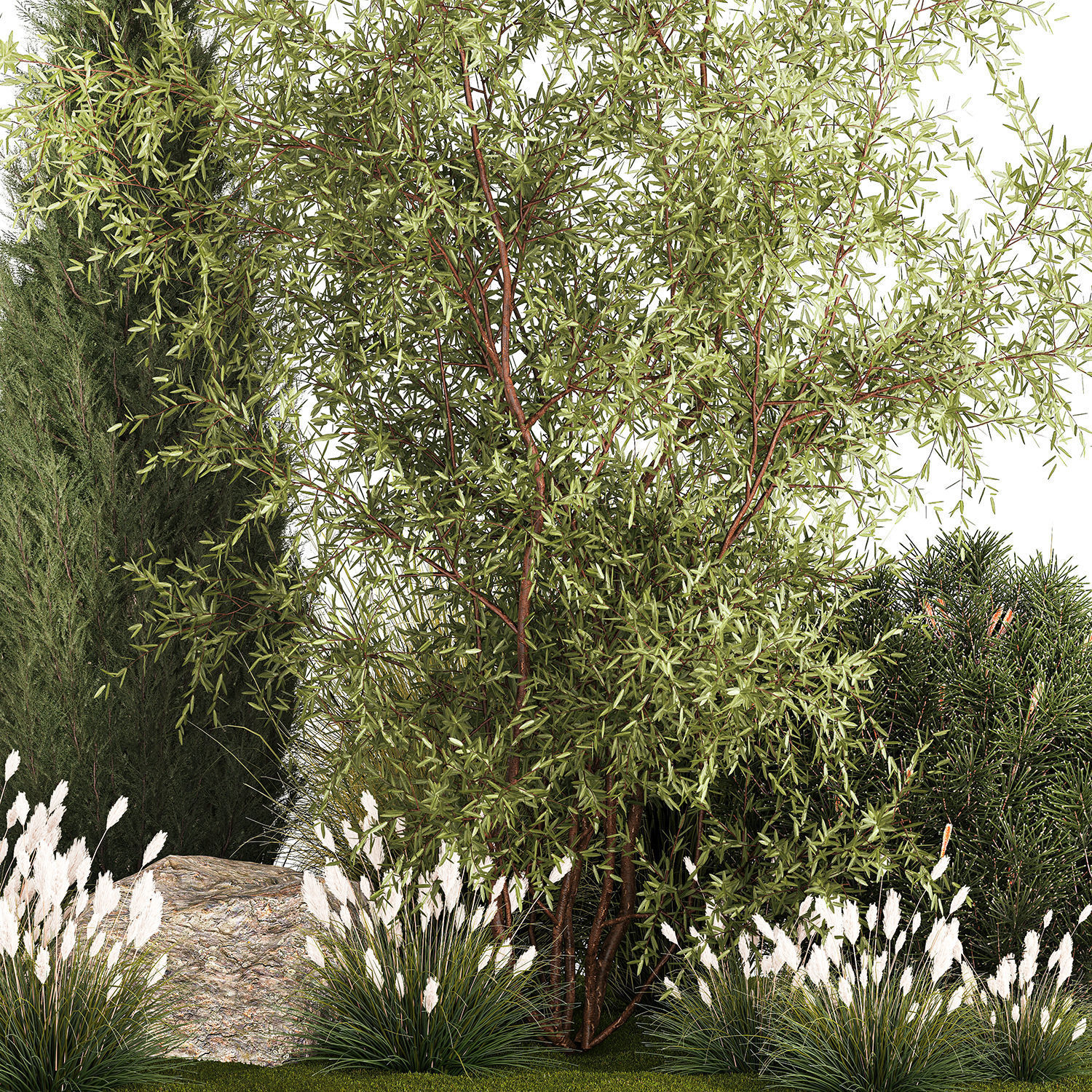Beautiful plants for the garden of thuja pine bonsai bushes  3D model_10