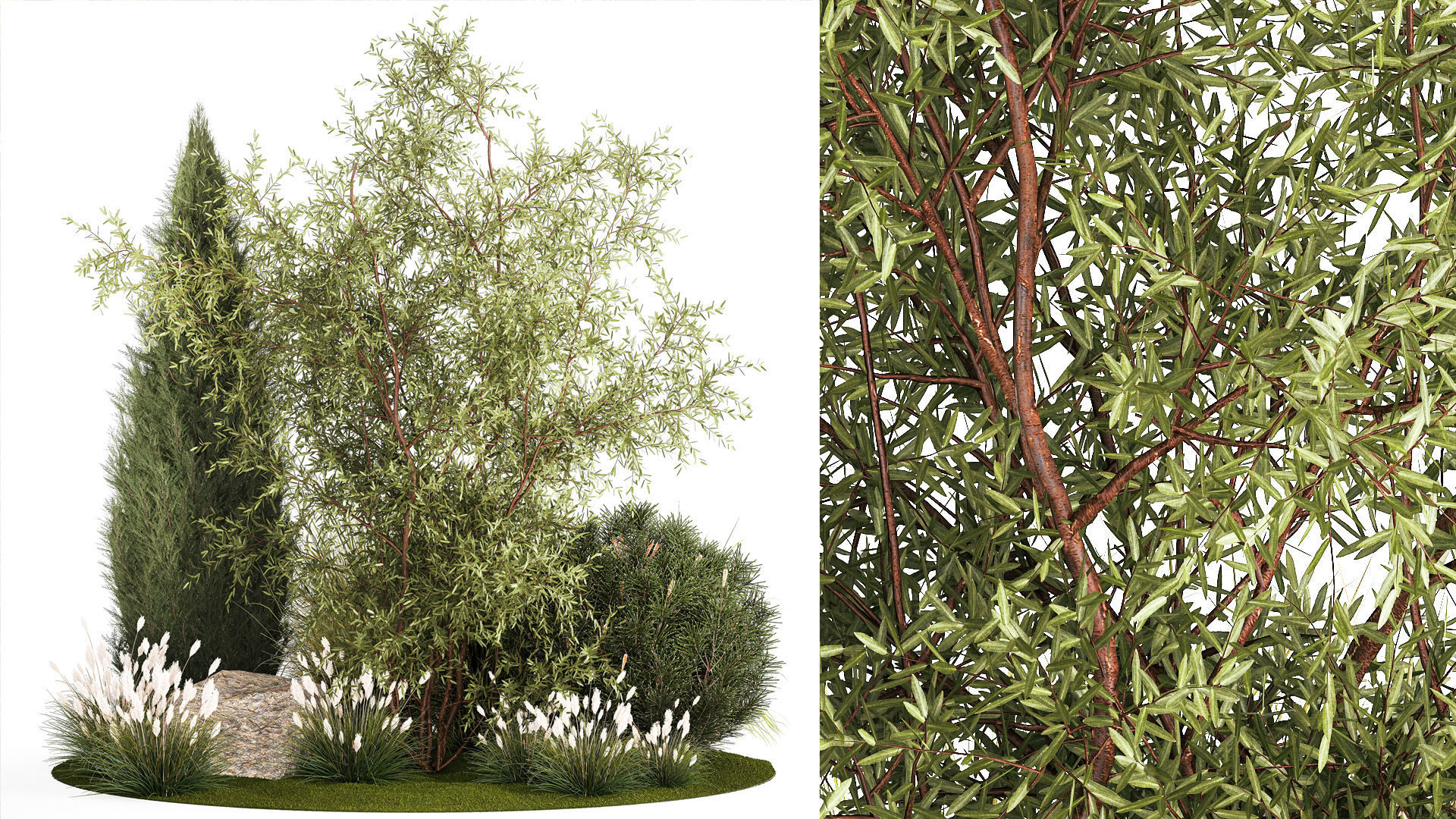 Beautiful plants for the garden of thuja pine bonsai bushes  3D model_1