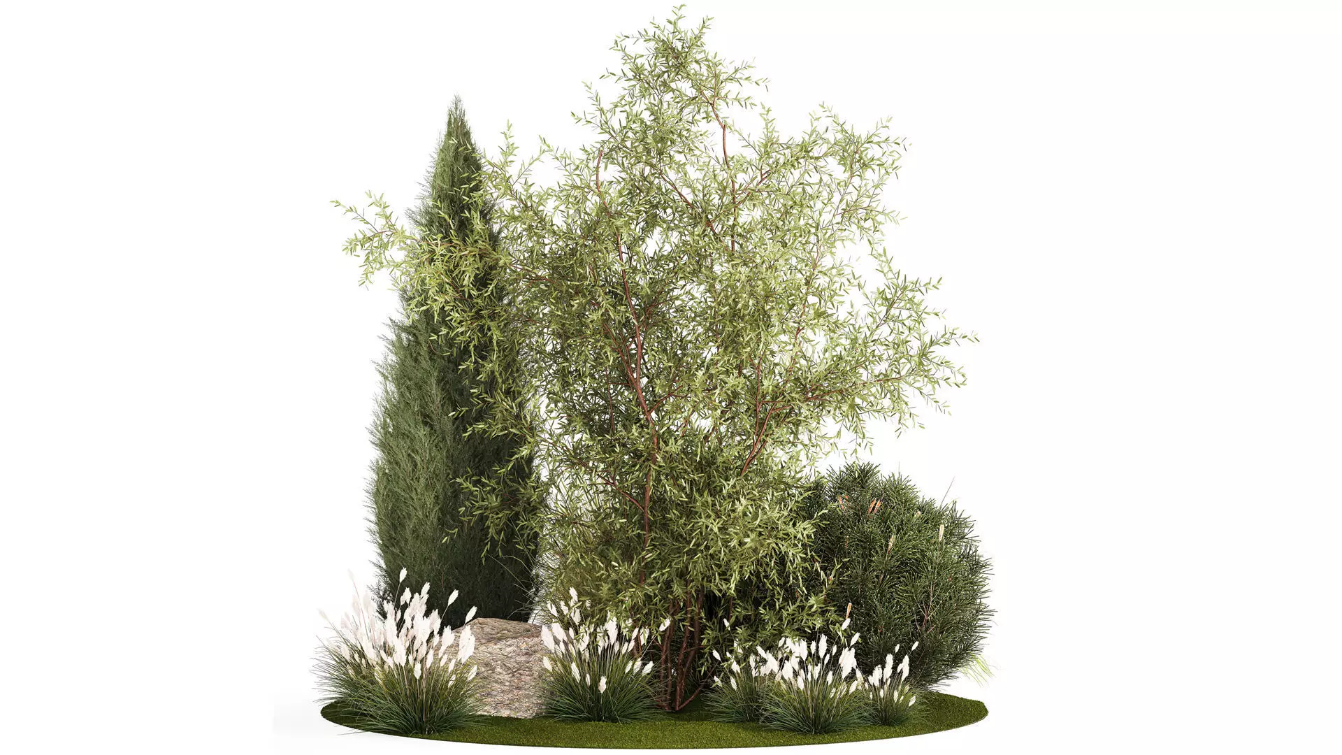 Beautiful plants for the garden of thuja pine bonsai bushes  3D model_0