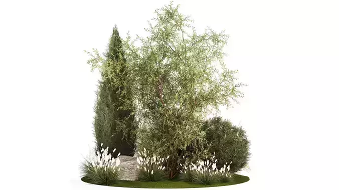 Beautiful plants for the garden of thuja pine bonsai bushes  3D model