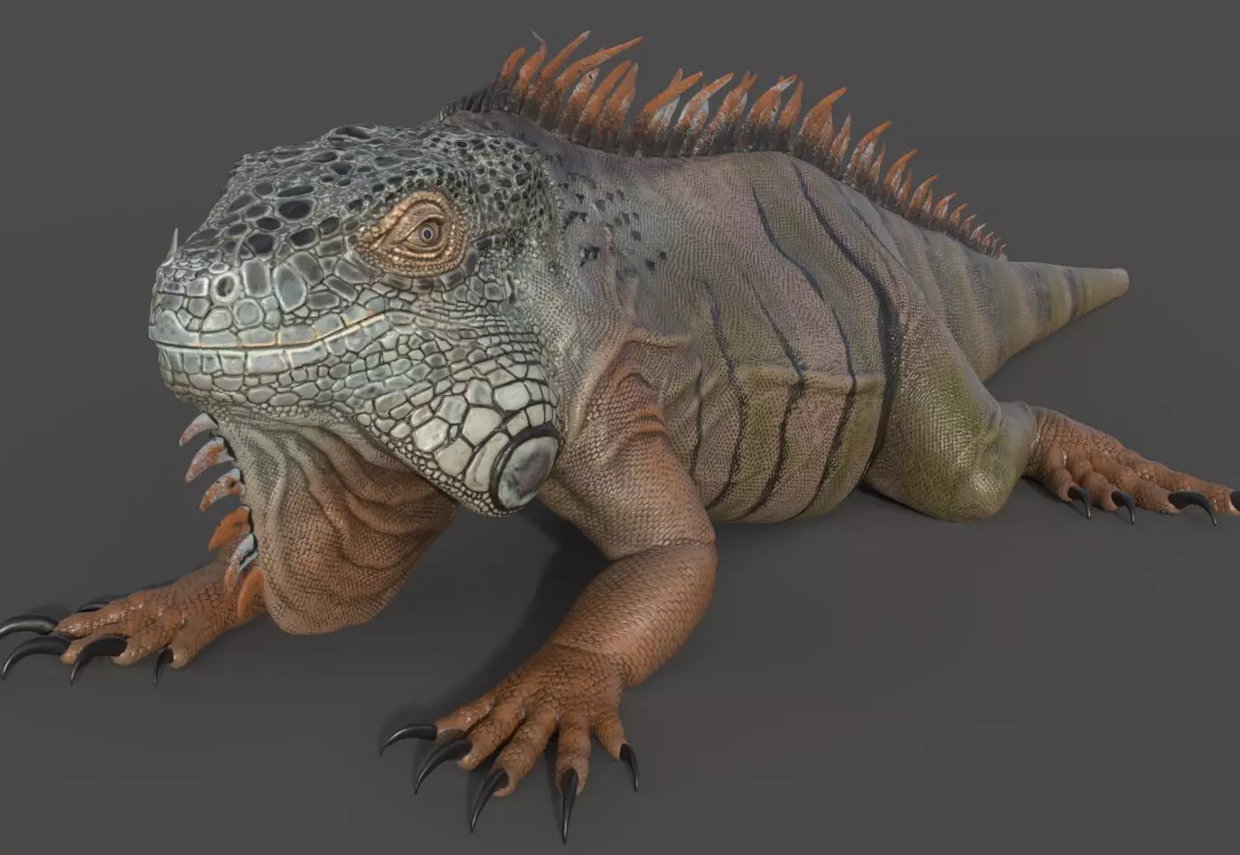 Iguana - reptile 3D print model_0