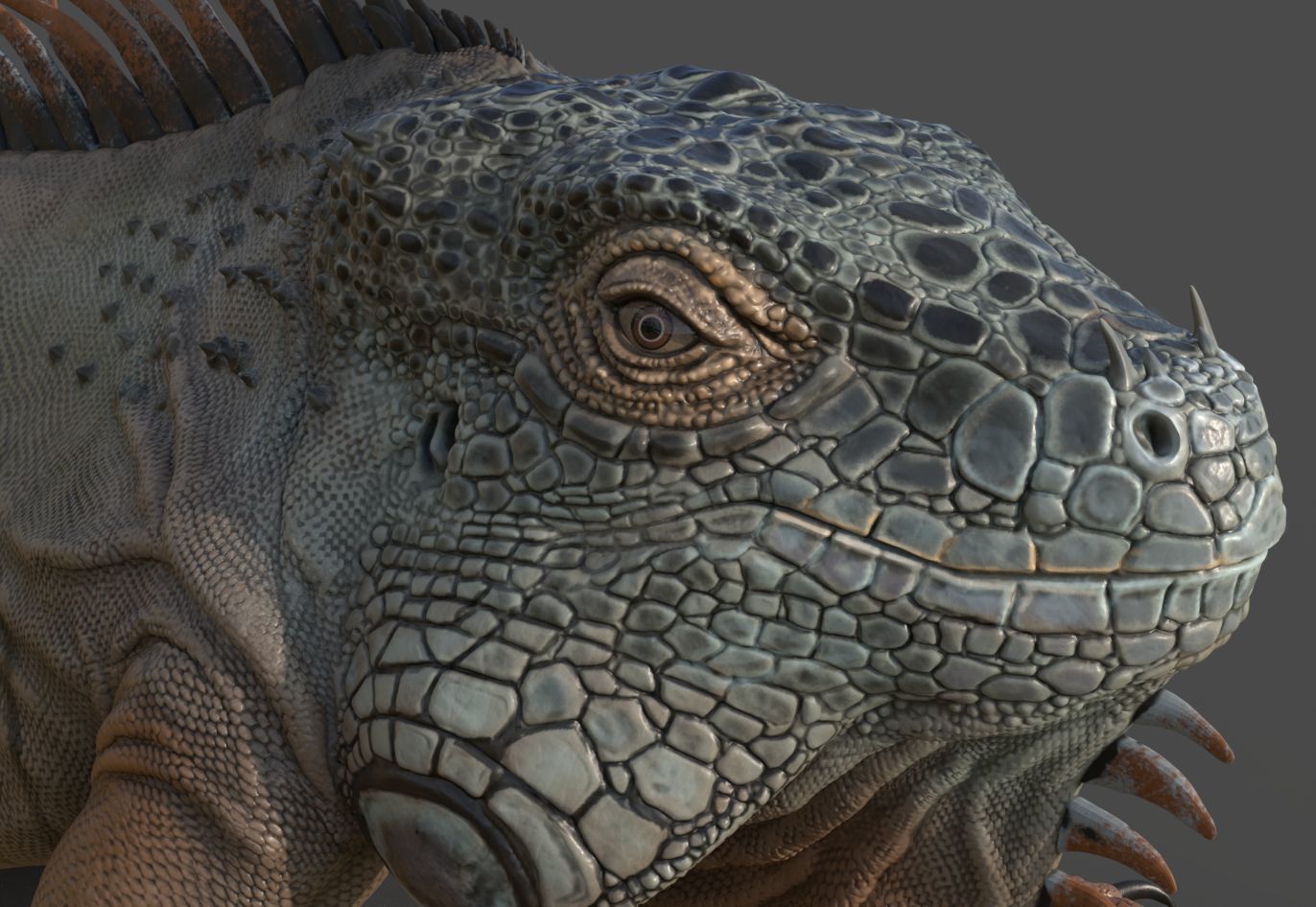 Iguana - reptile 3D print model_1