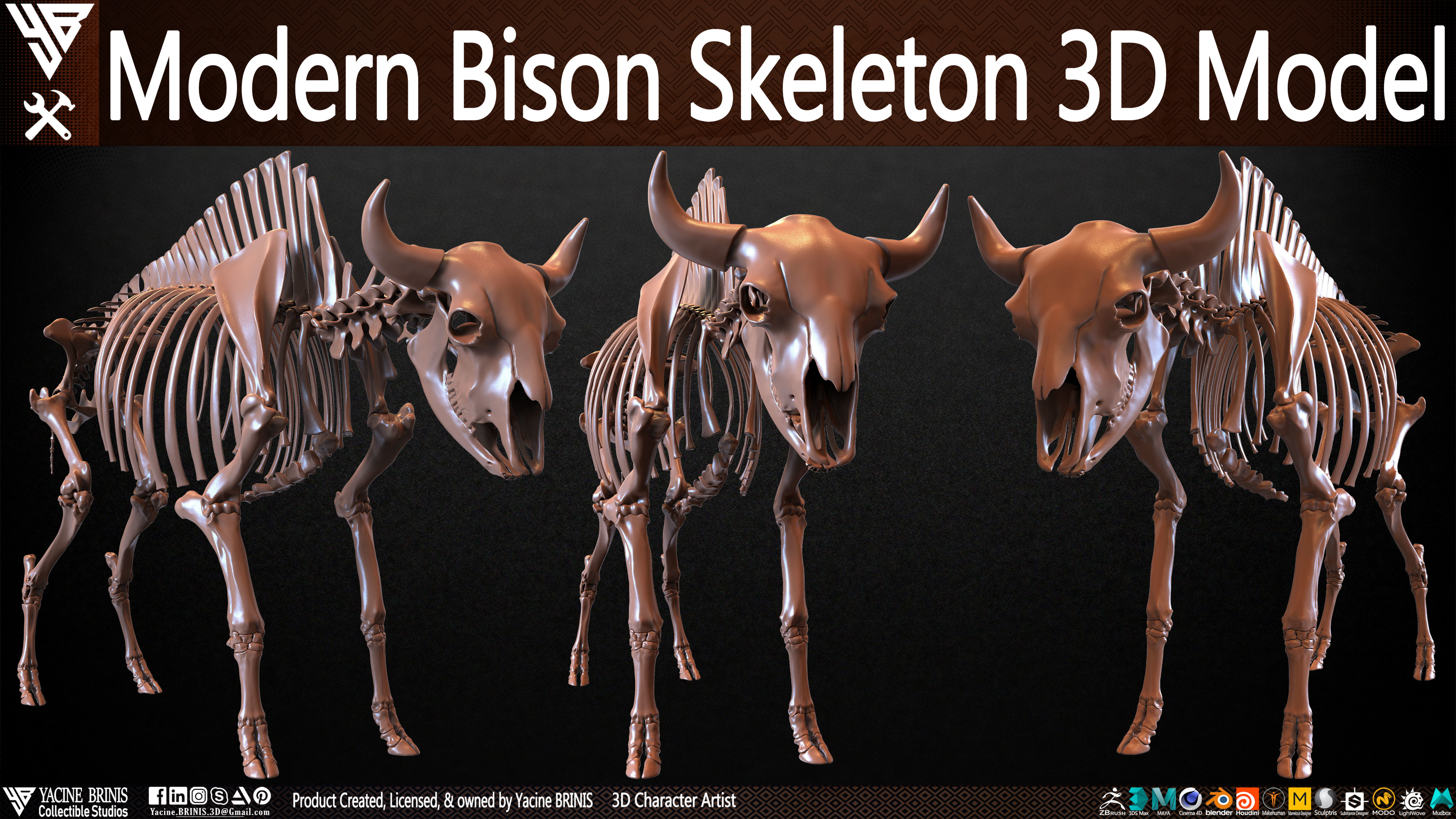 Modern Bison Skeleton 3D Model Low-poly 3D model_1