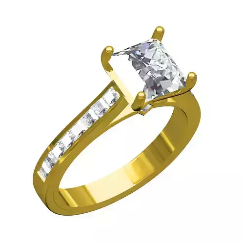 Princess Cut Stone Cathedral Engagement Ring