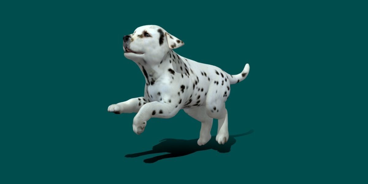 Dalmatian Puppy Dog 3D model_13