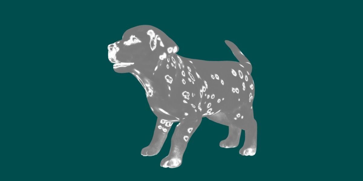 Dalmatian Puppy Dog 3D model_9