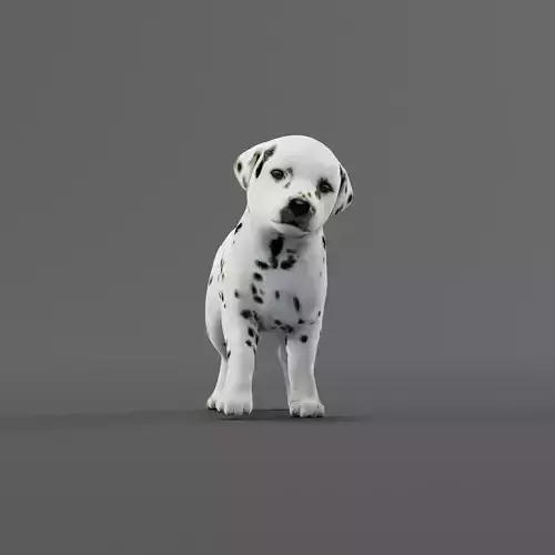 Dalmatian Puppy Dog