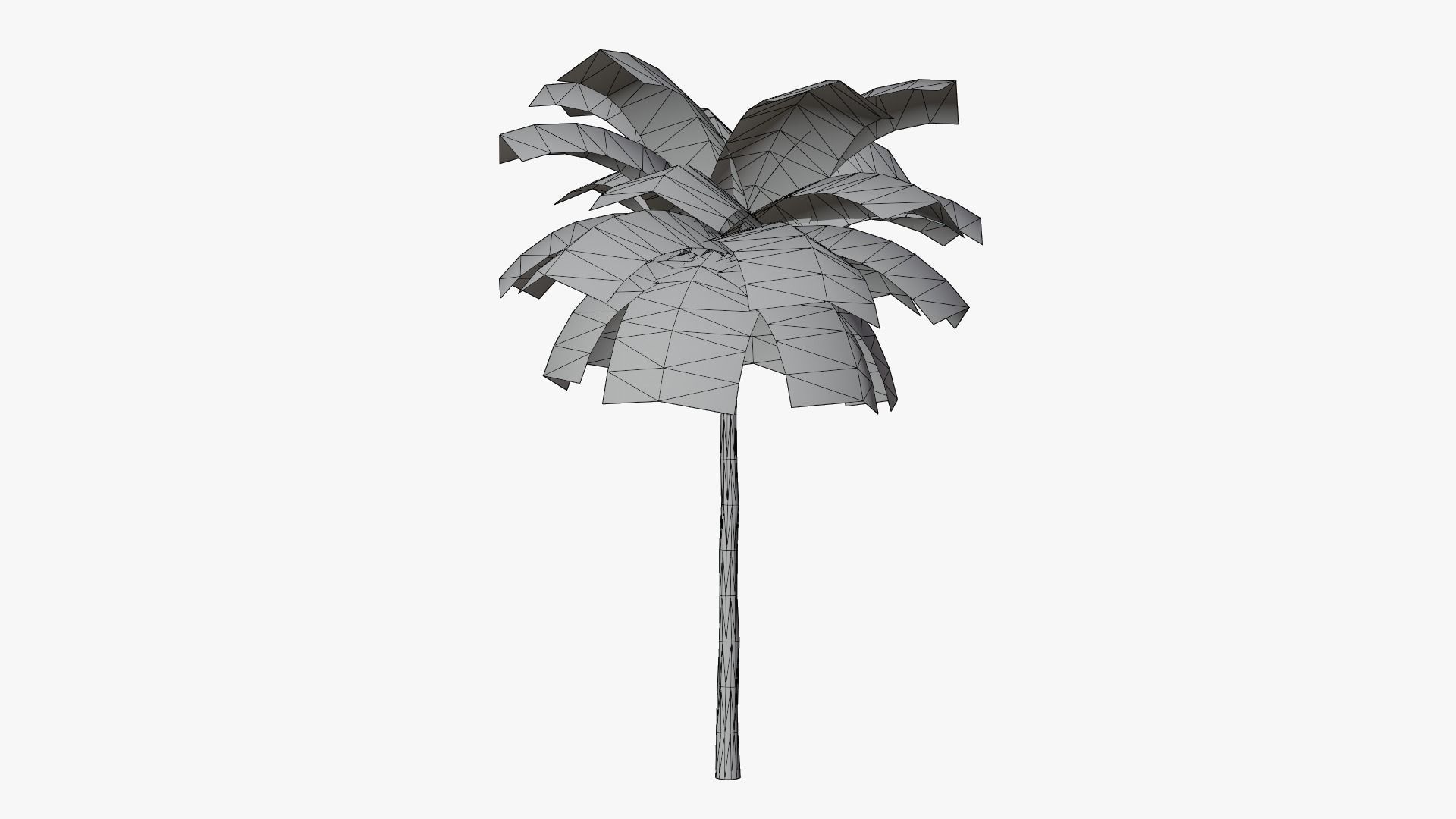 Tropic Palm Tree Low-poly 3D model_10