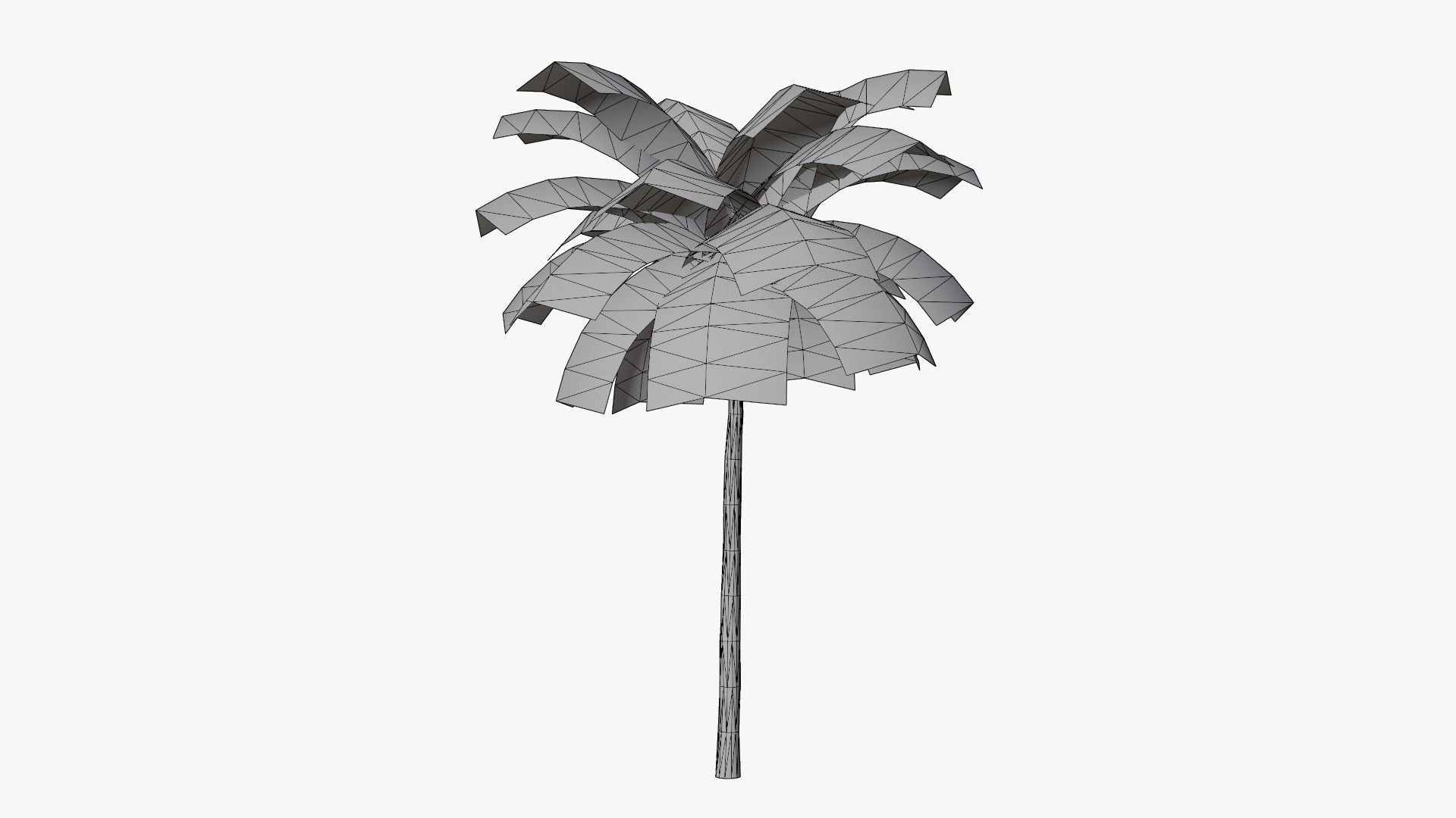 Tropic Palm Tree Low-poly 3D model_8