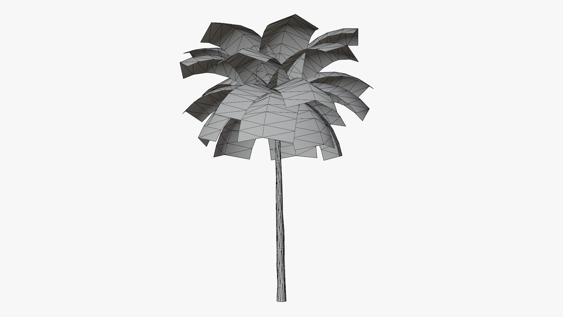 Tropic Palm Tree Low-poly 3D model_6
