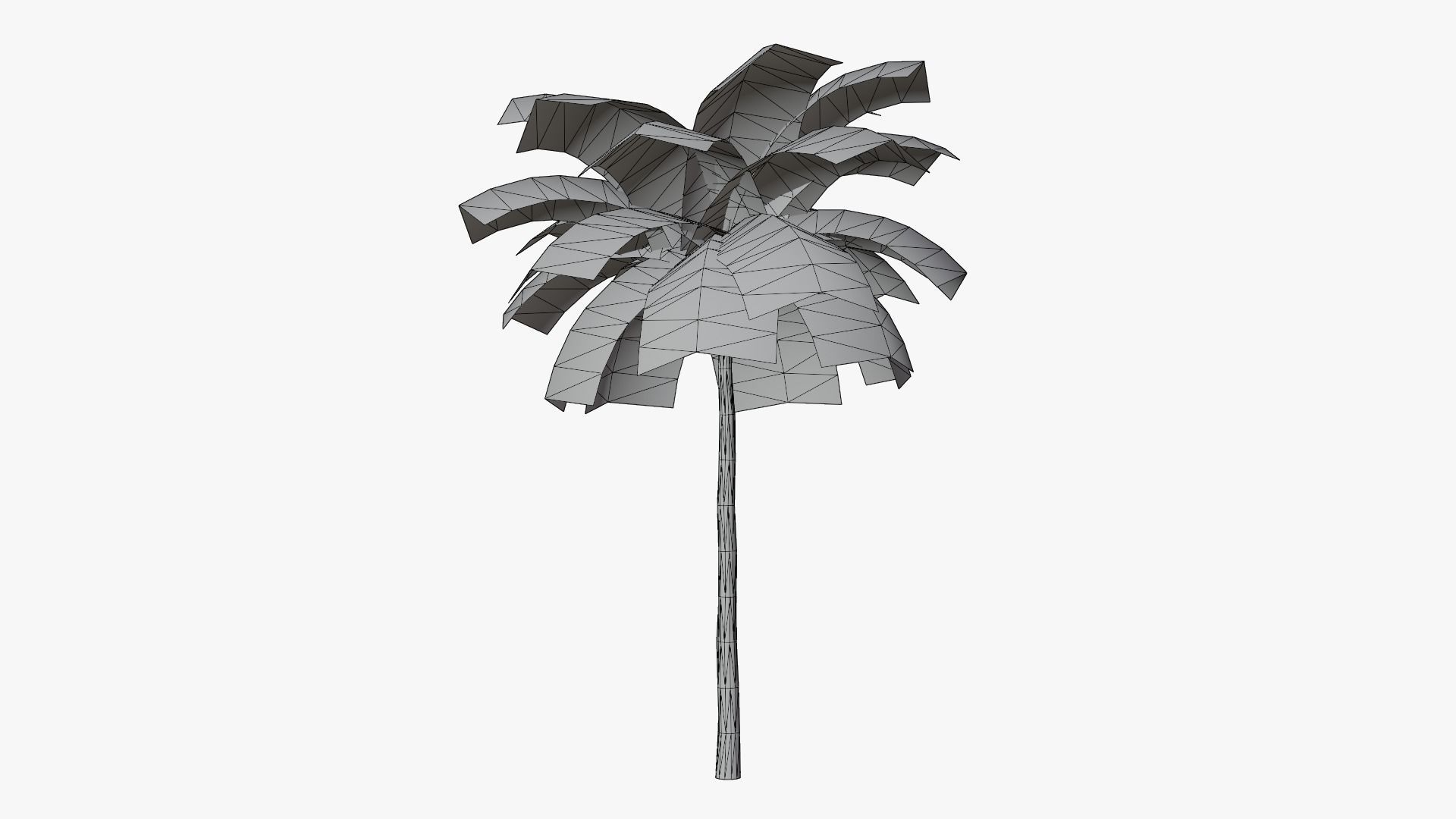 Tropic Palm Tree Low-poly 3D model_7