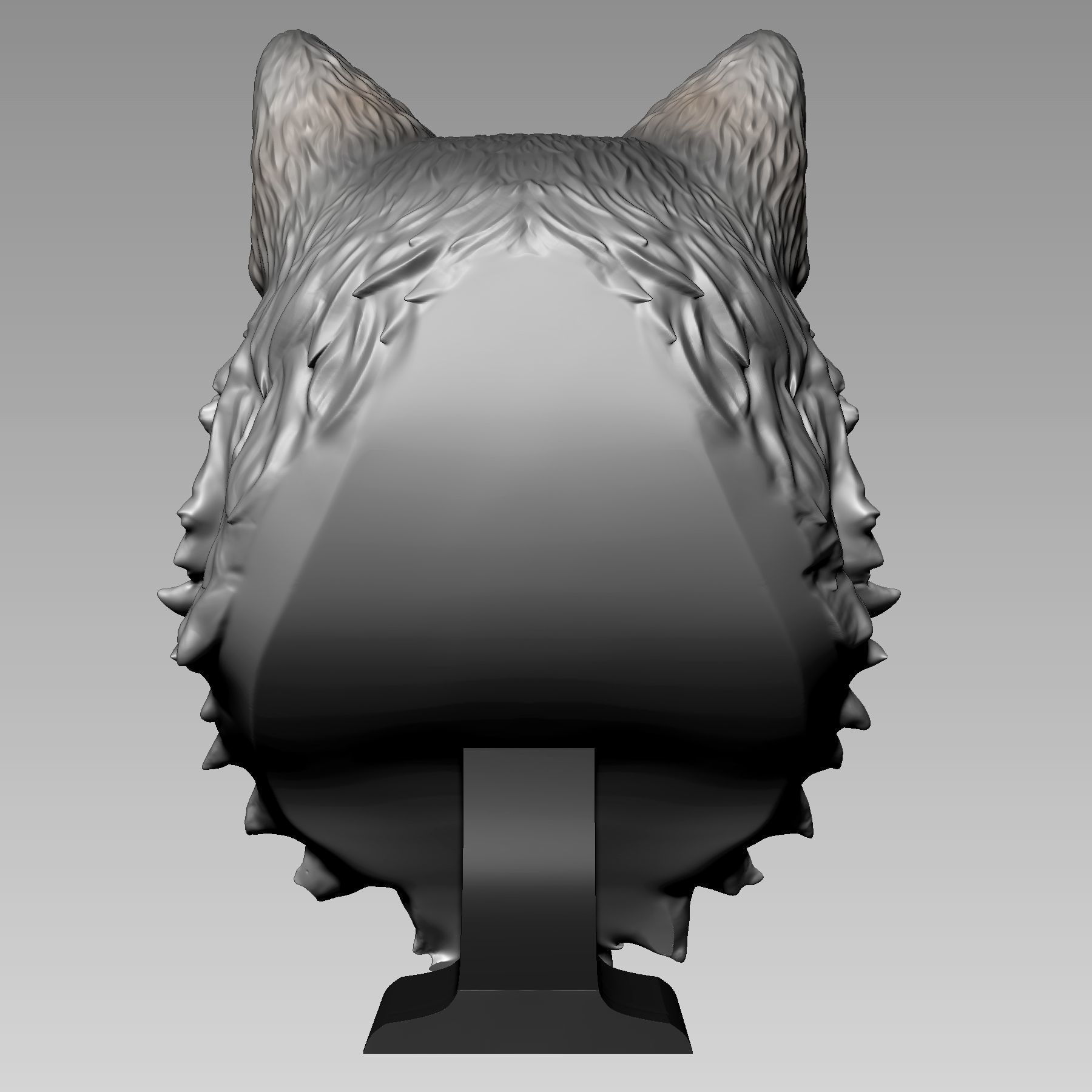 Maine Coon Cat 3D print model_5