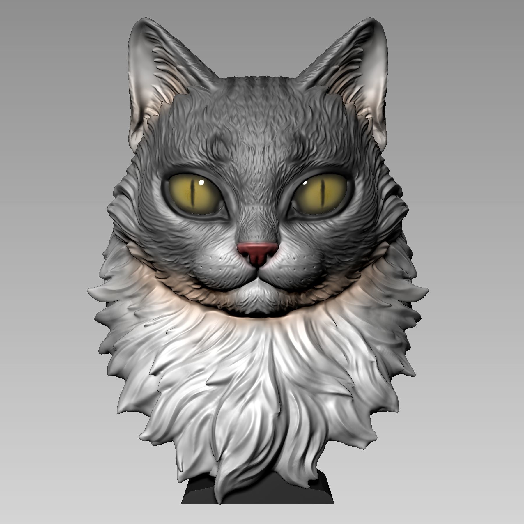 Maine Coon Cat 3D print model_2