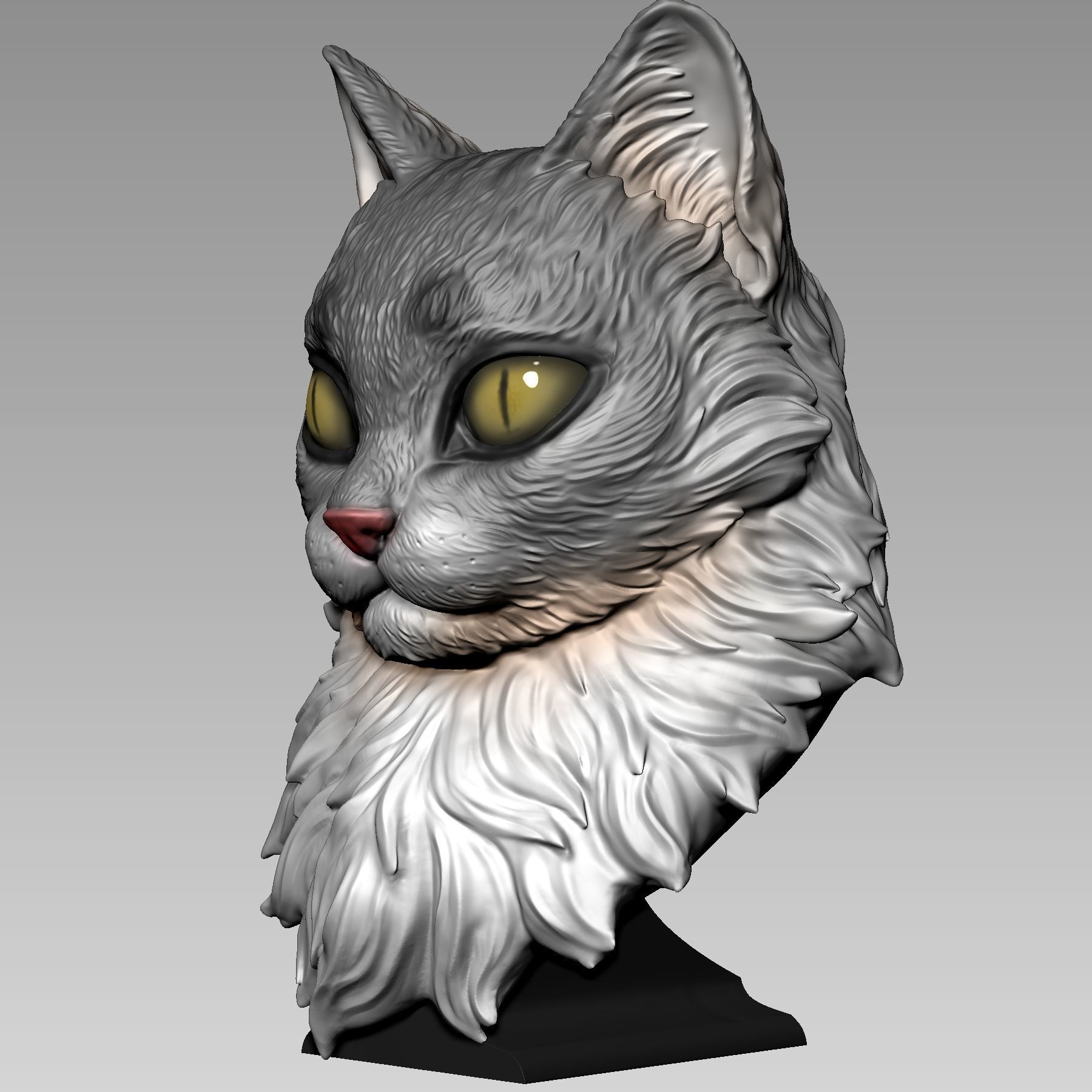 Maine Coon Cat 3D print model_3