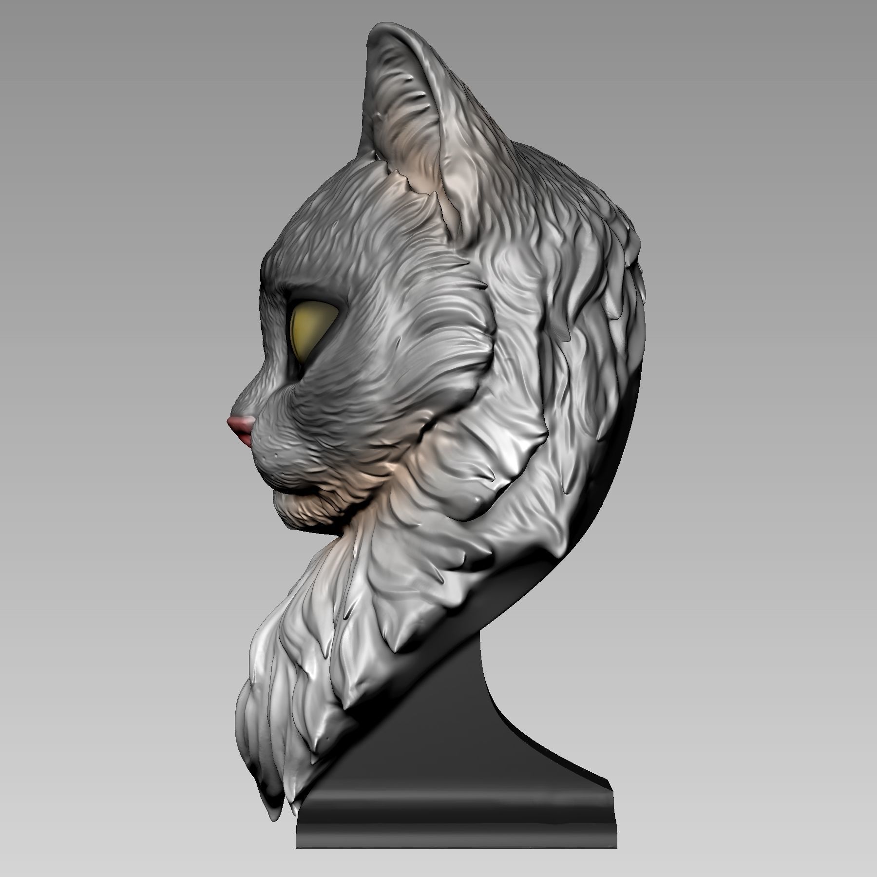 Maine Coon Cat 3D print model_4