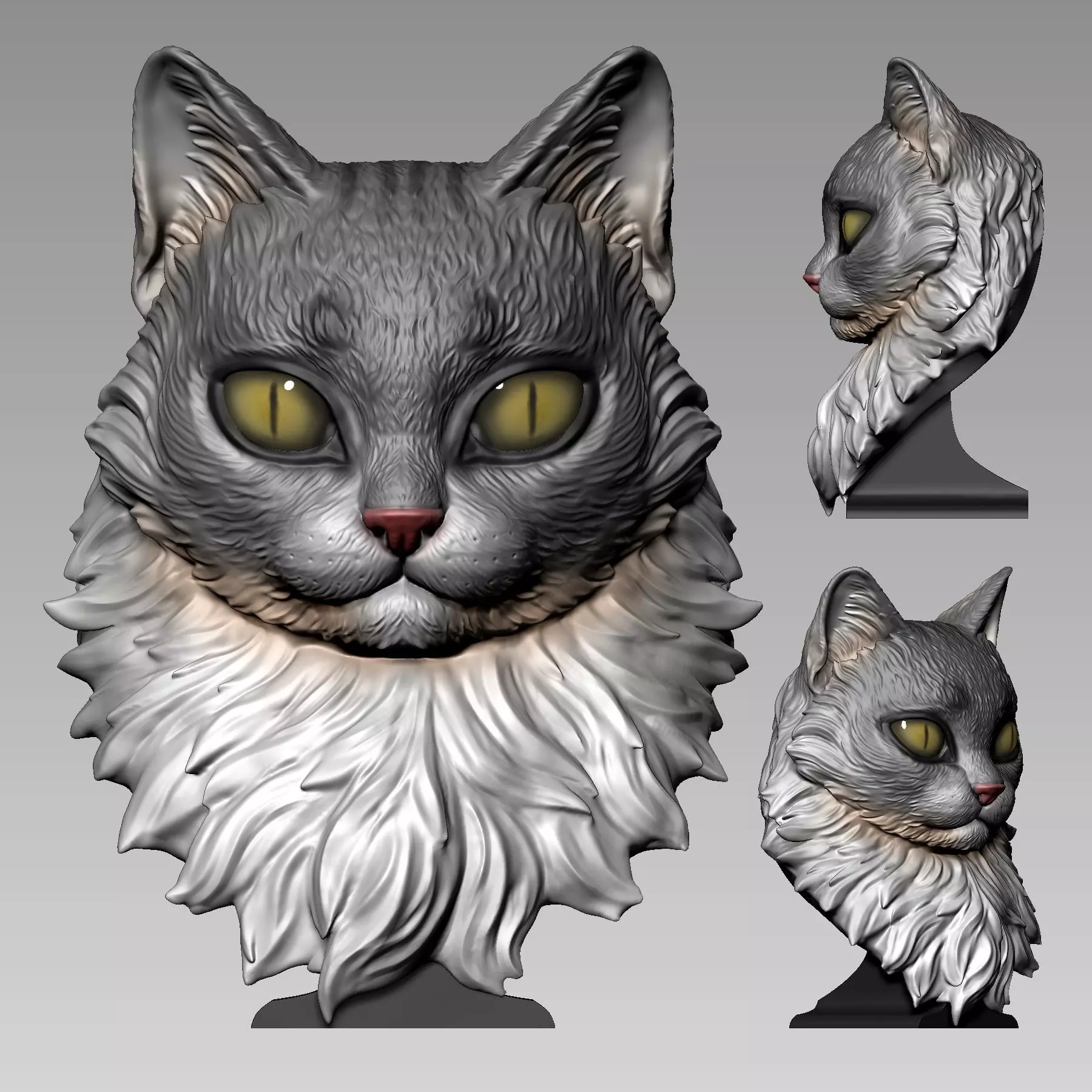 Maine Coon Cat 3D print model_0