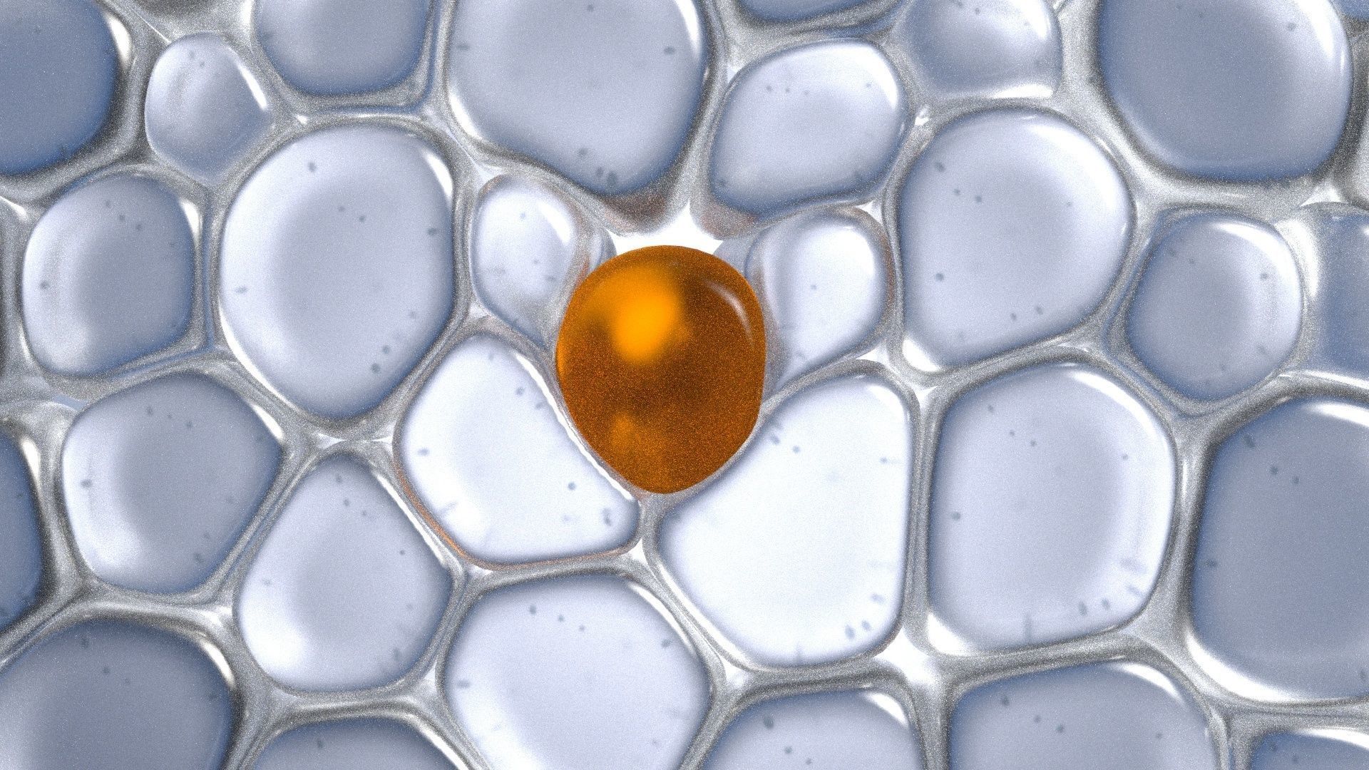 Skin Cells 3D model_10