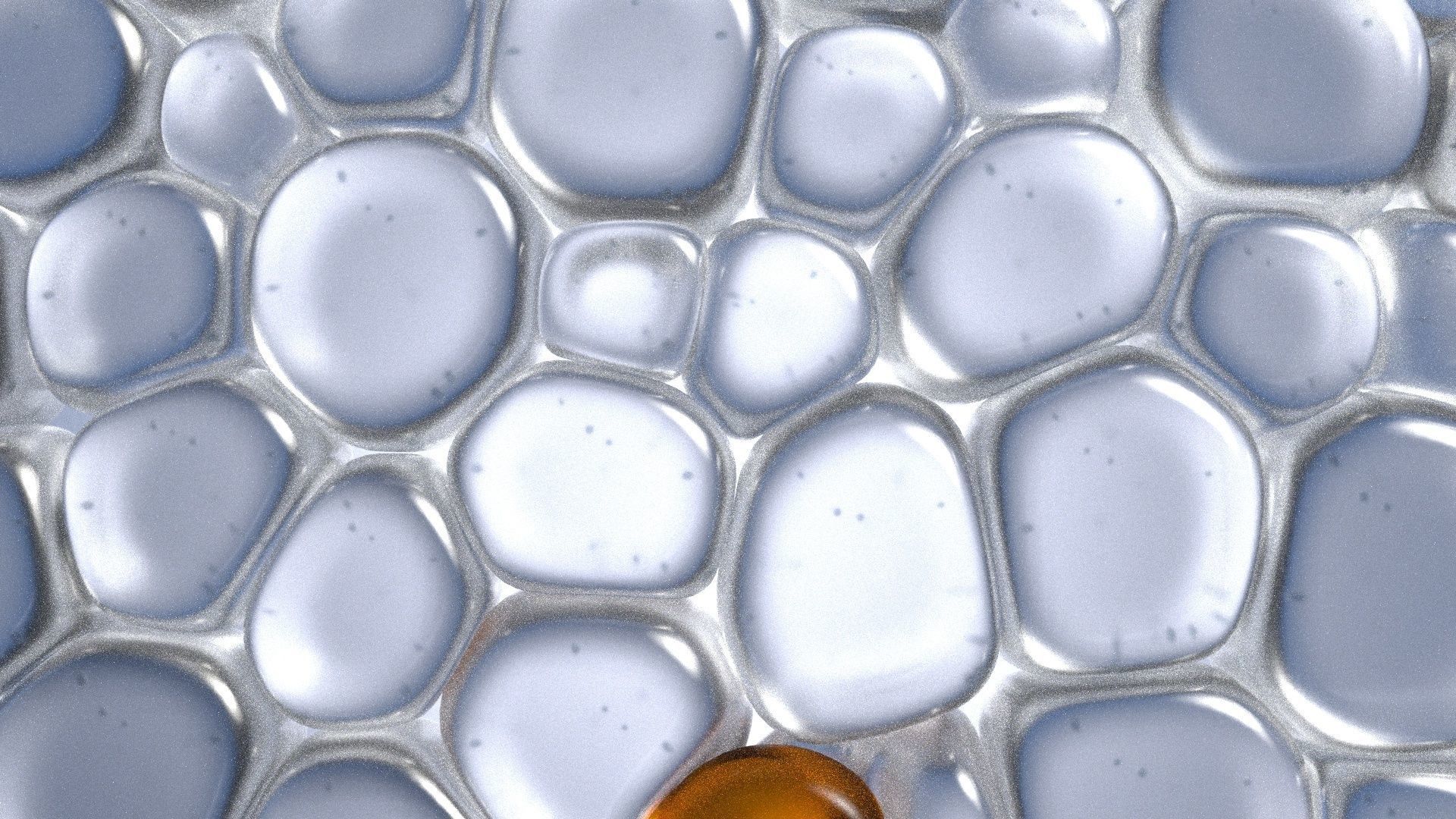 Skin Cells 3D model_13