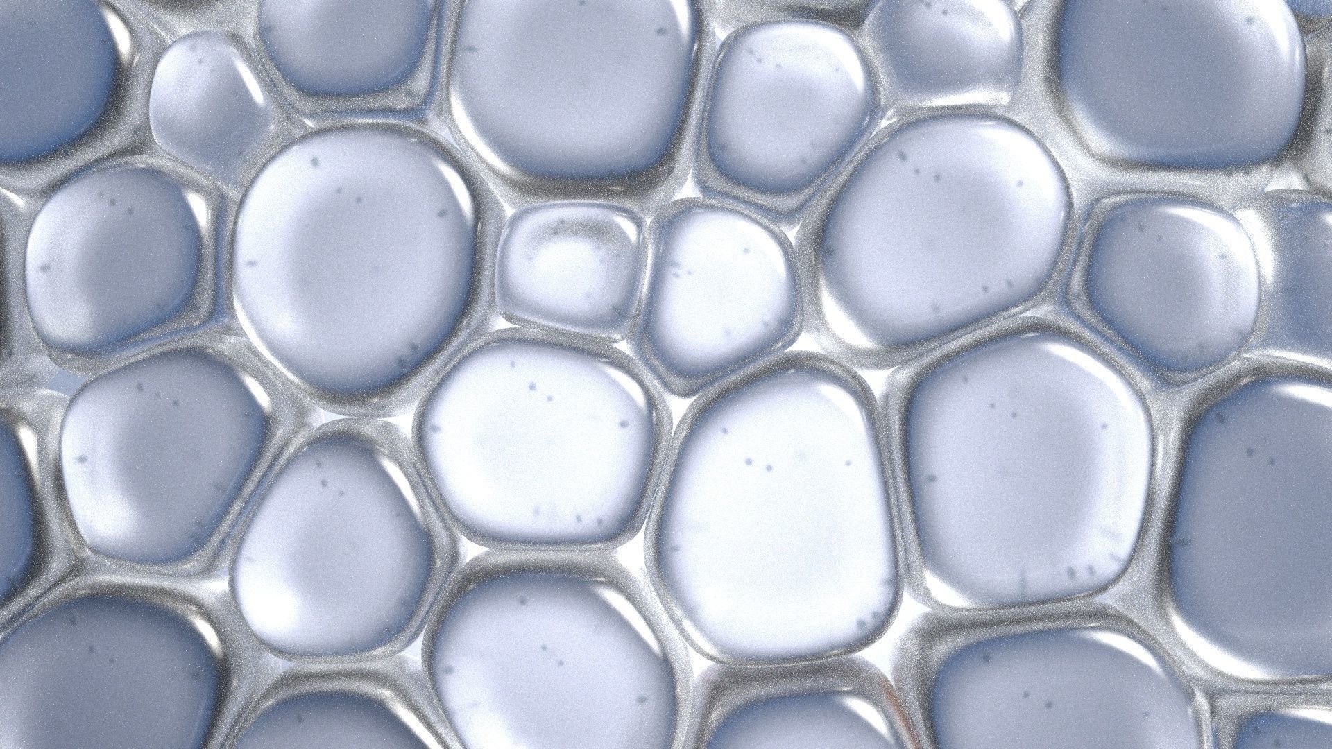 Skin Cells 3D model_14