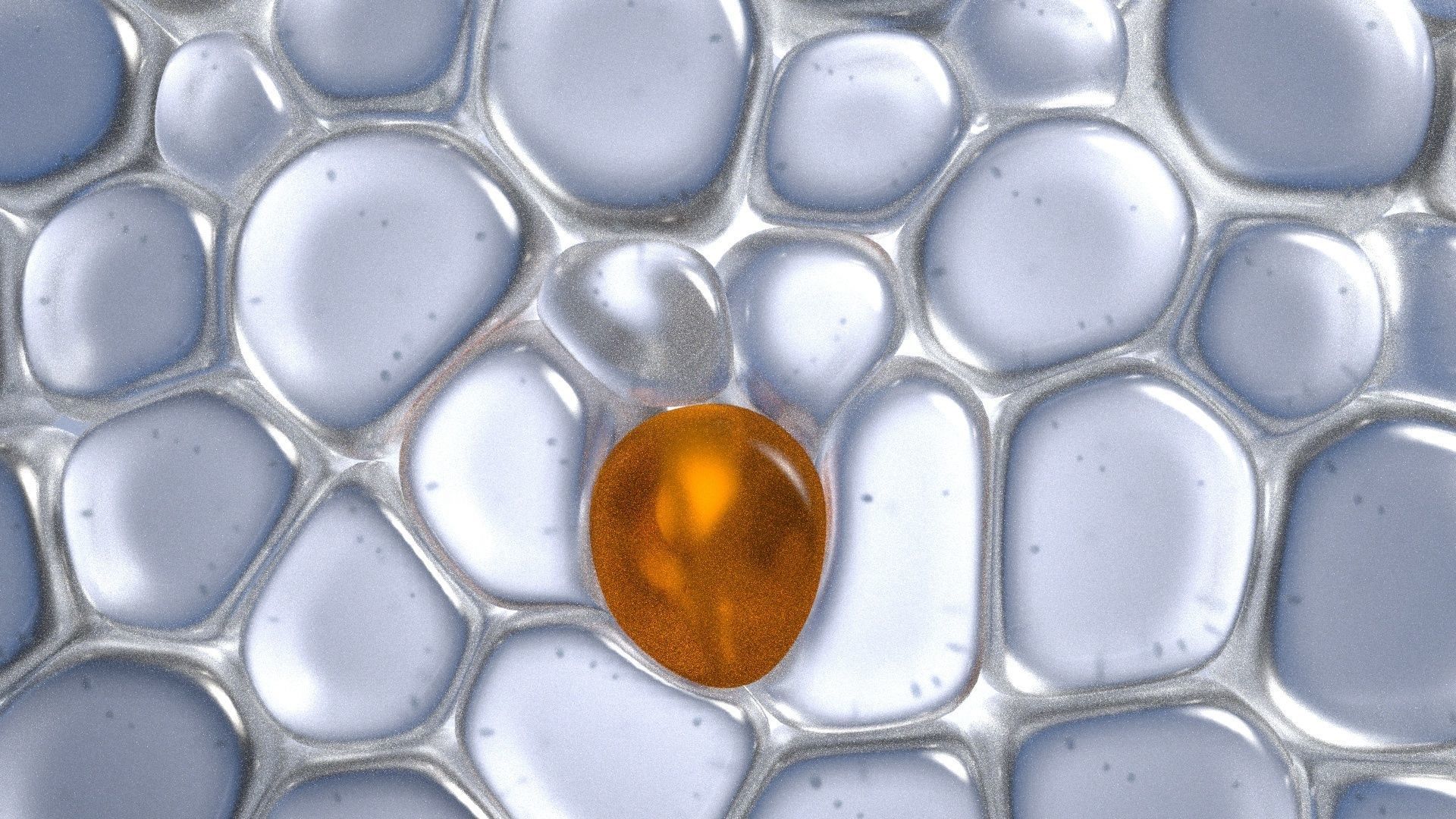 Skin Cells 3D model_11