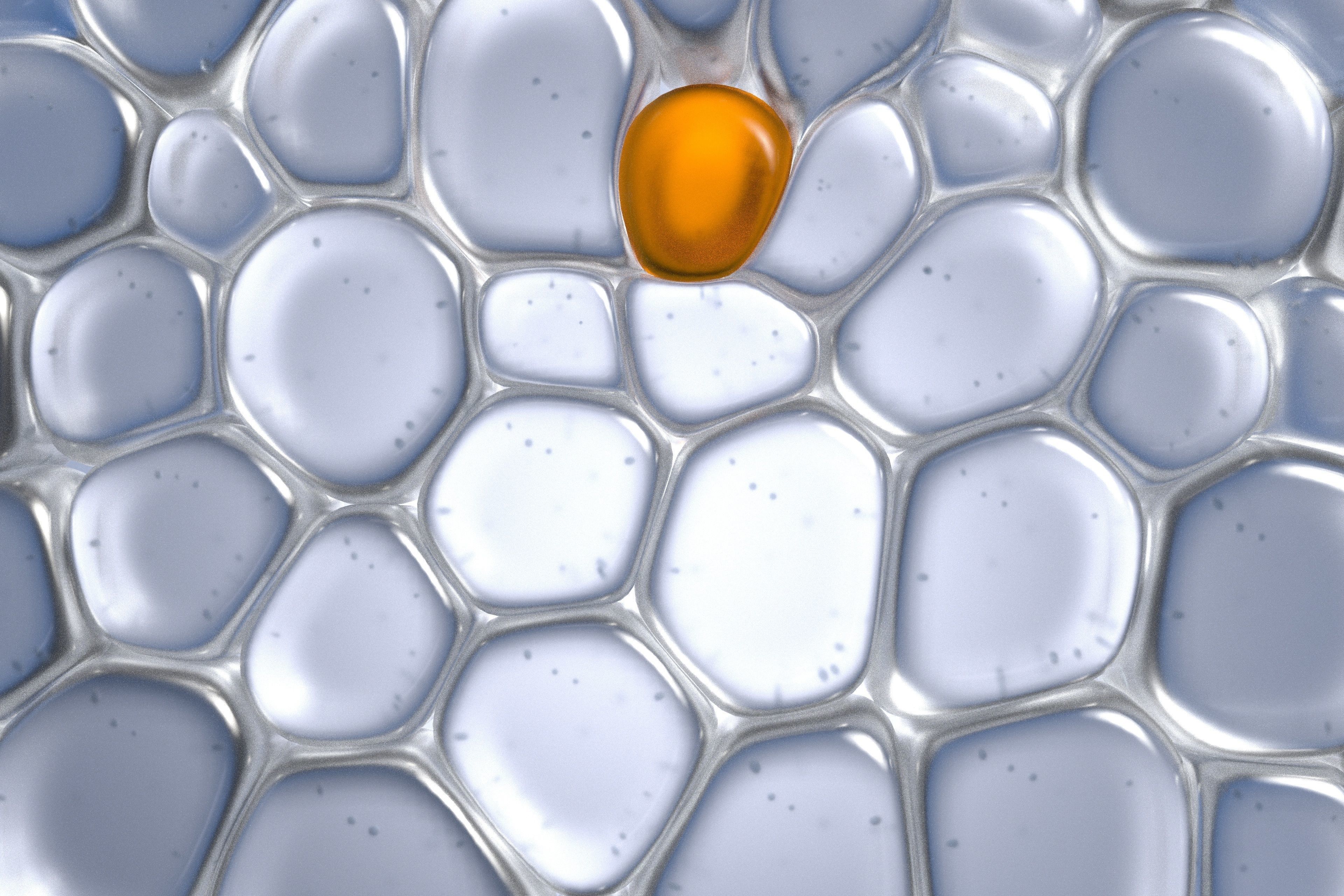 Skin Cells 3D model_1