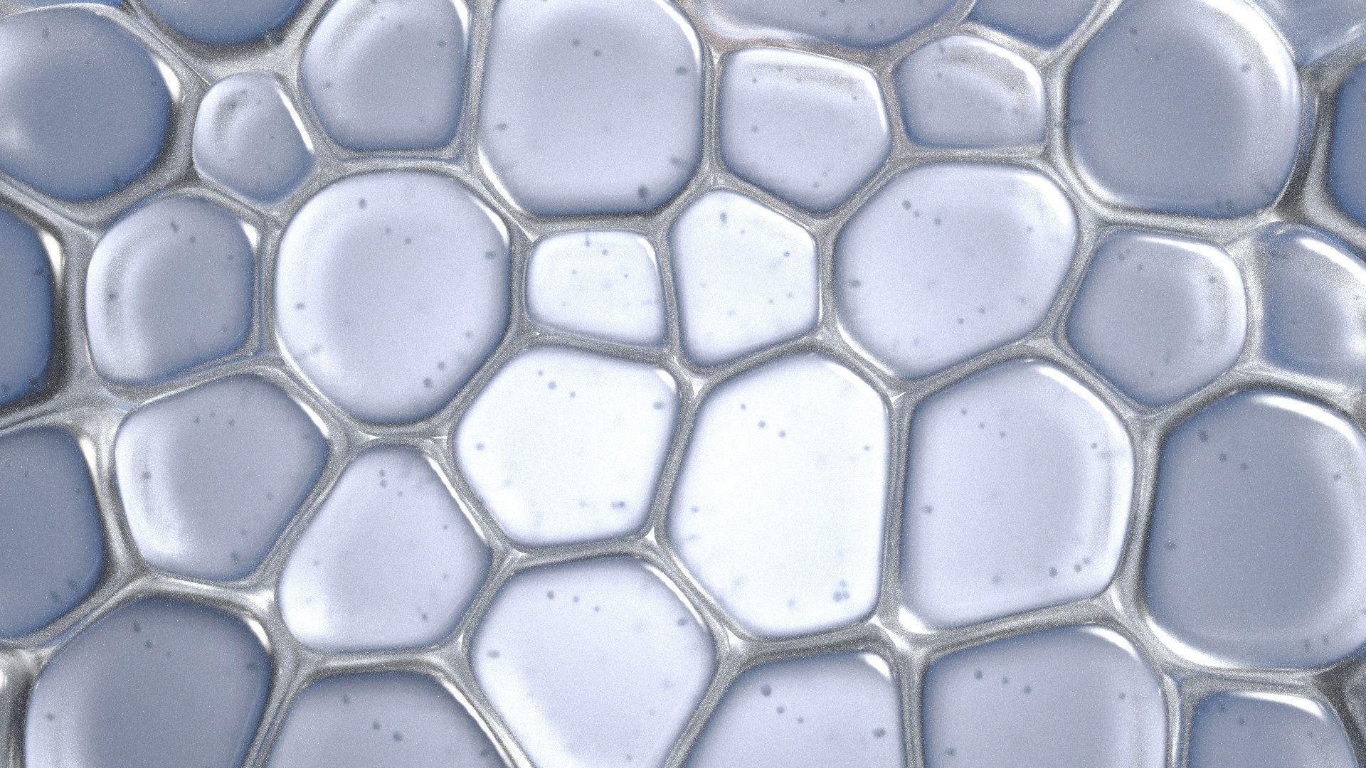 Skin Cells 3D model_5