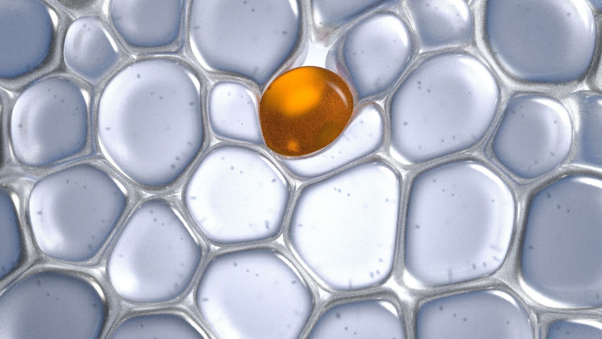 Skin Cells 3D model_9