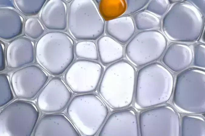 Skin Cells 3D model