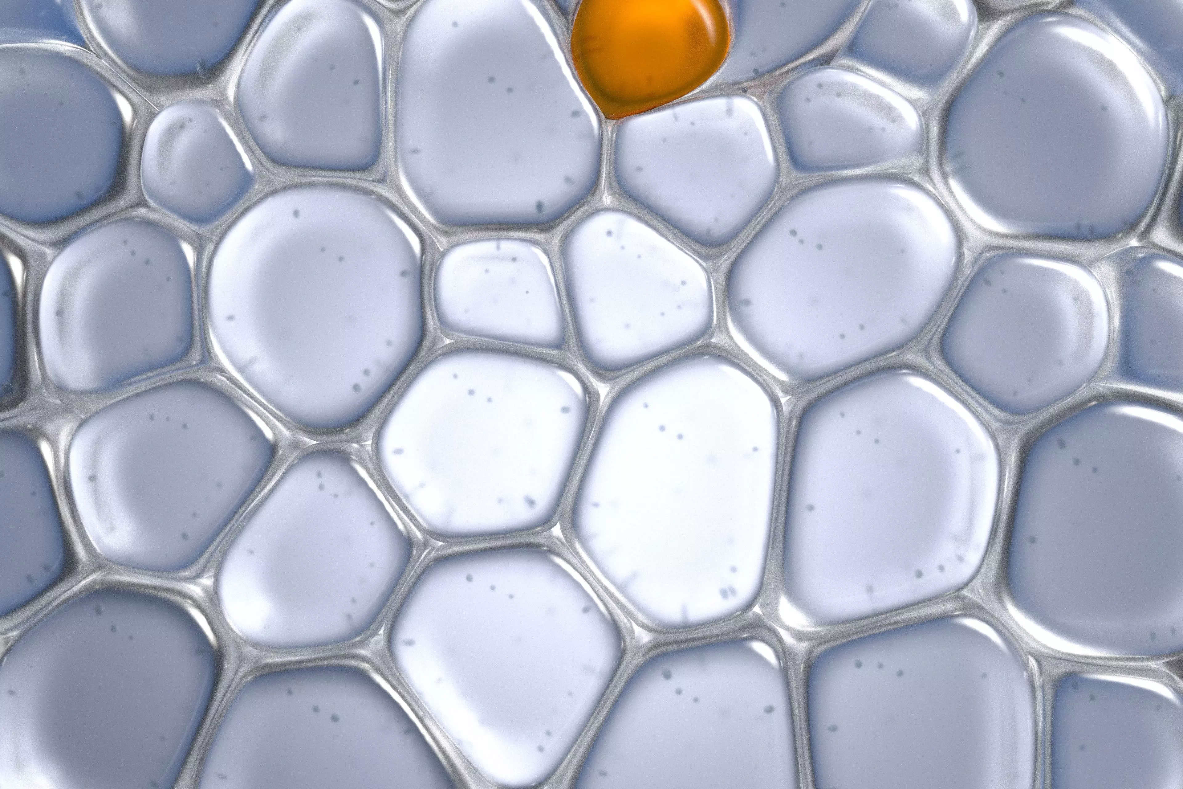 Skin Cells 3D model_0