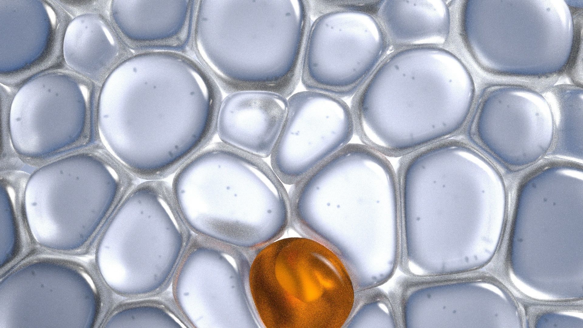 Skin Cells 3D model_12