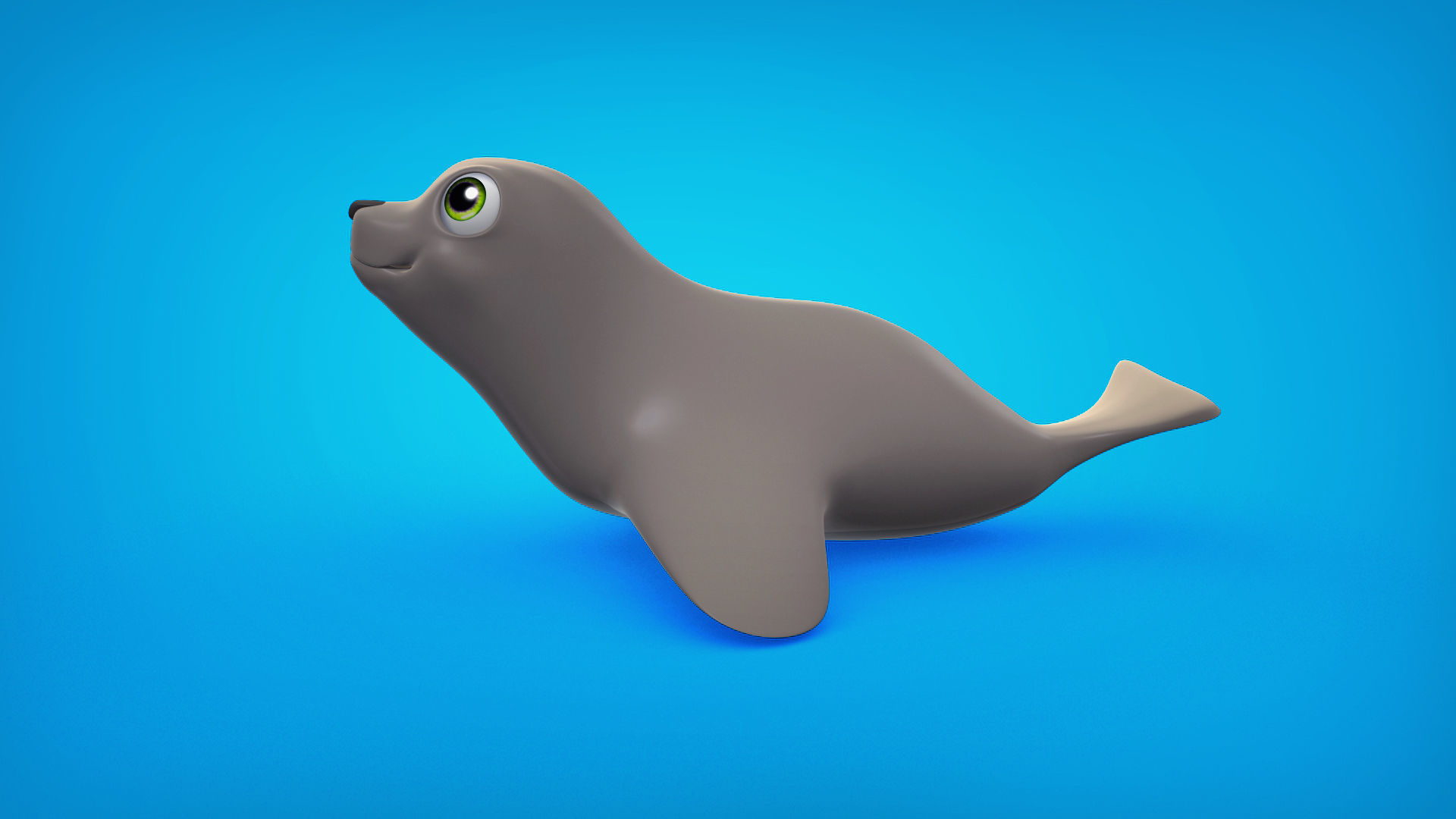 Seal cute character Low-poly 3D model Low-poly 3D model_2