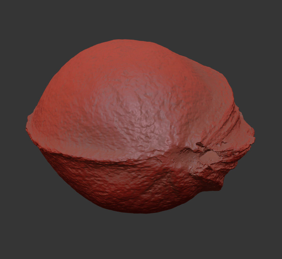 Cherry Seed 3D model_7