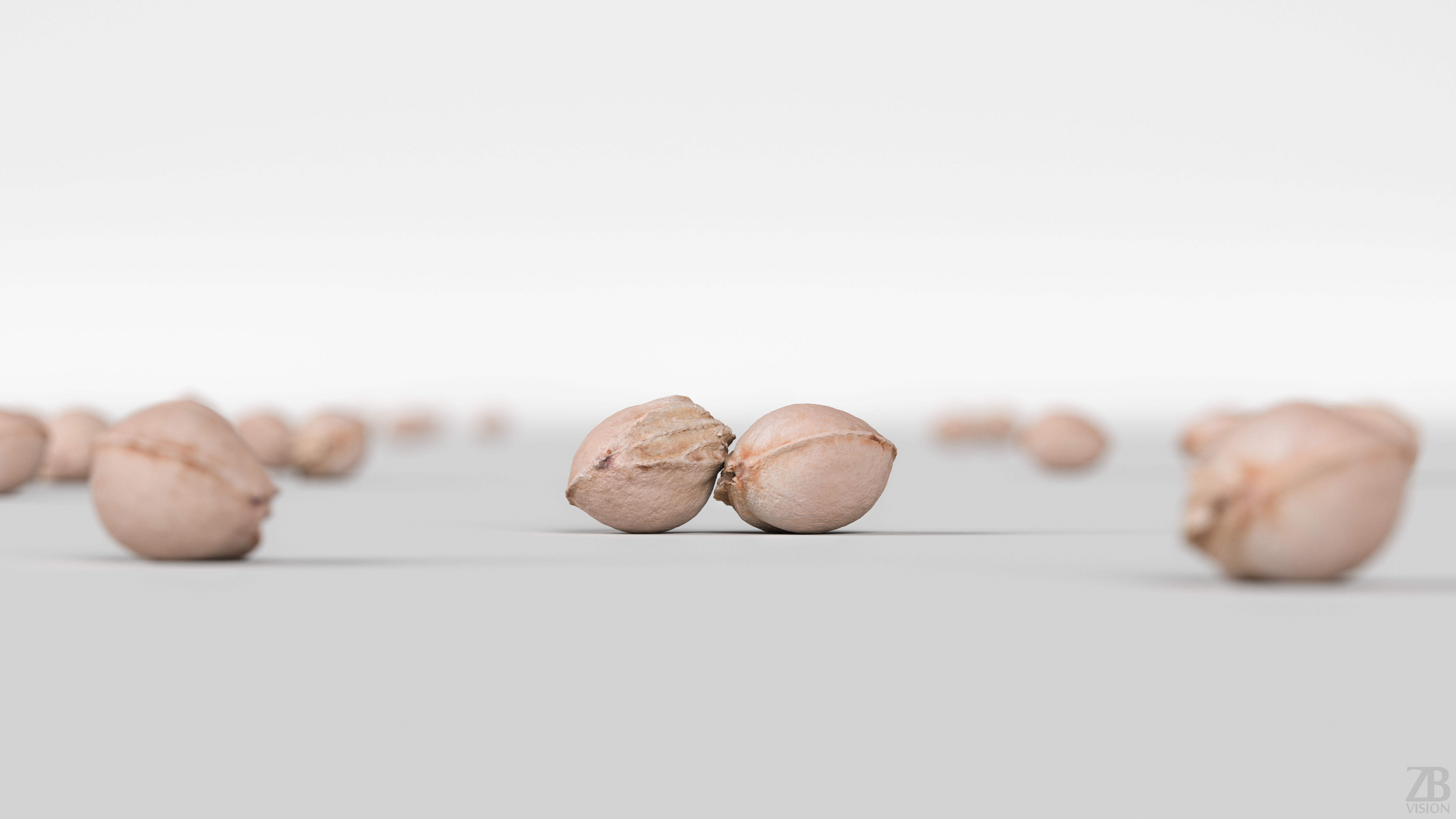 Cherry Seed 3D model_1