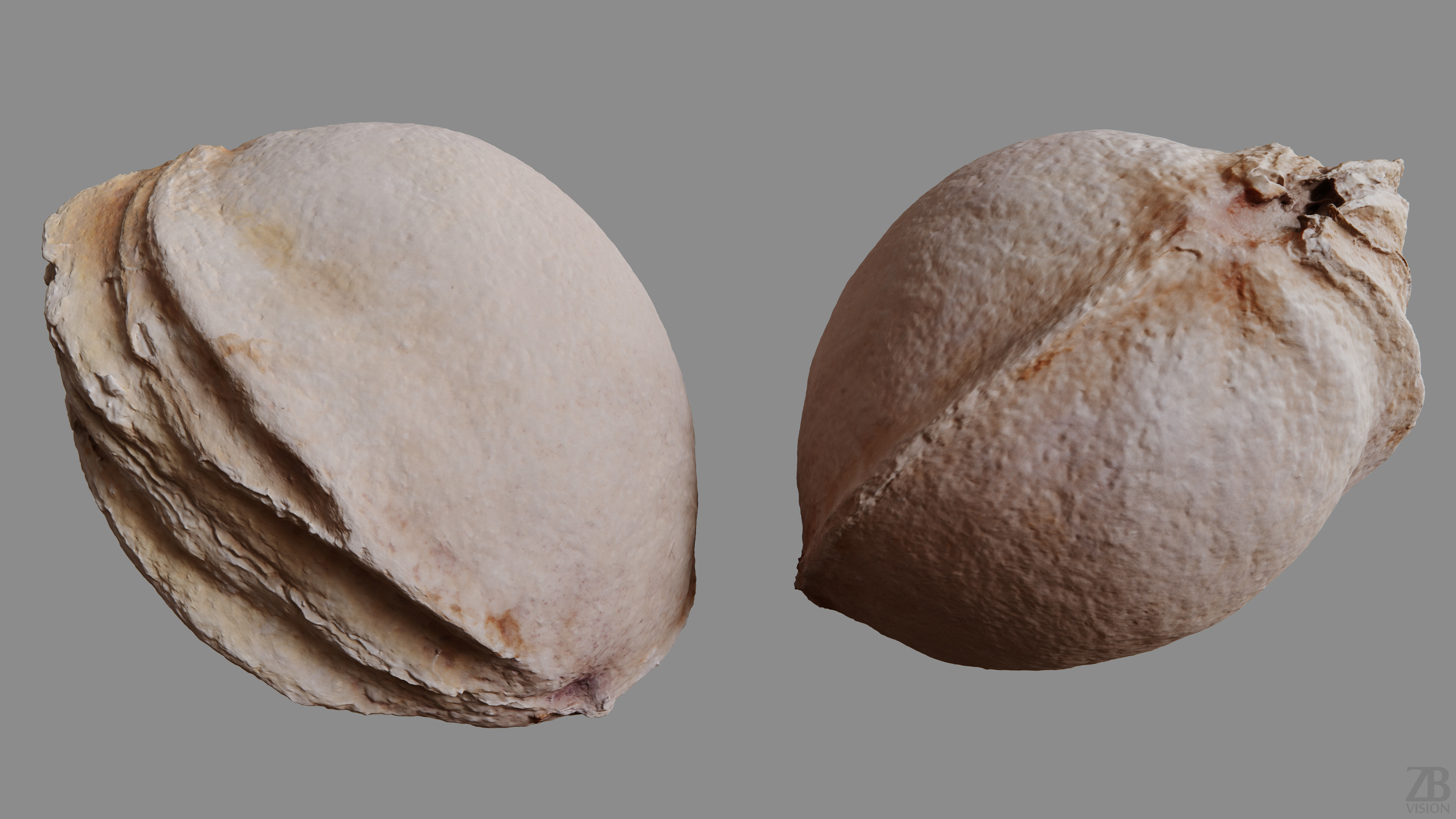 Cherry Seed 3D model_9