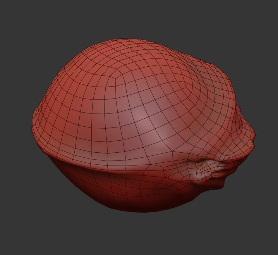 Cherry Seed 3D model_6