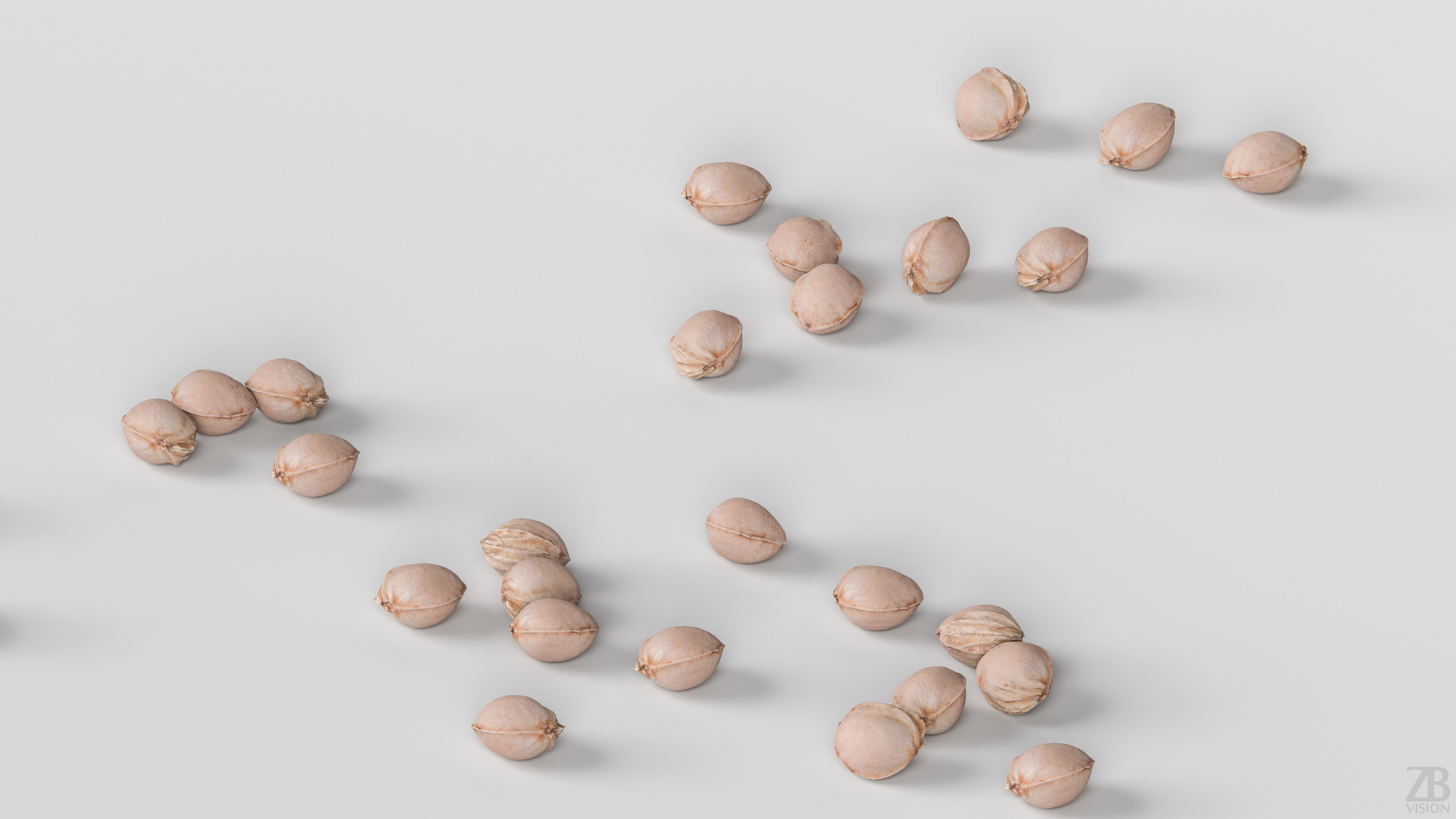 Cherry Seed 3D model_2