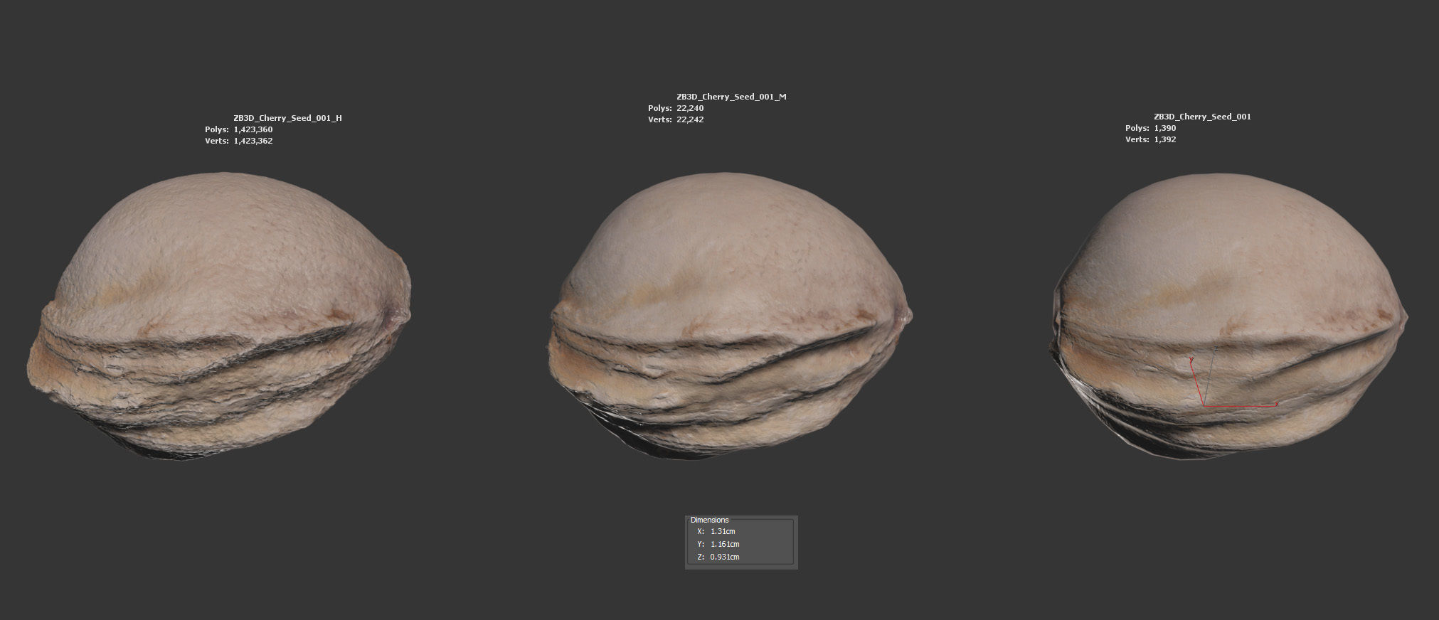 Cherry Seed 3D model_5