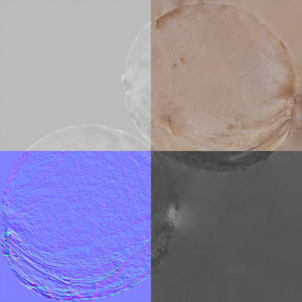 Cherry Seed 3D model_8