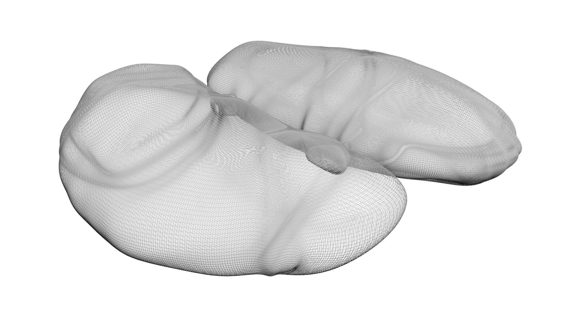 Chicken Kidneys 3D model_14