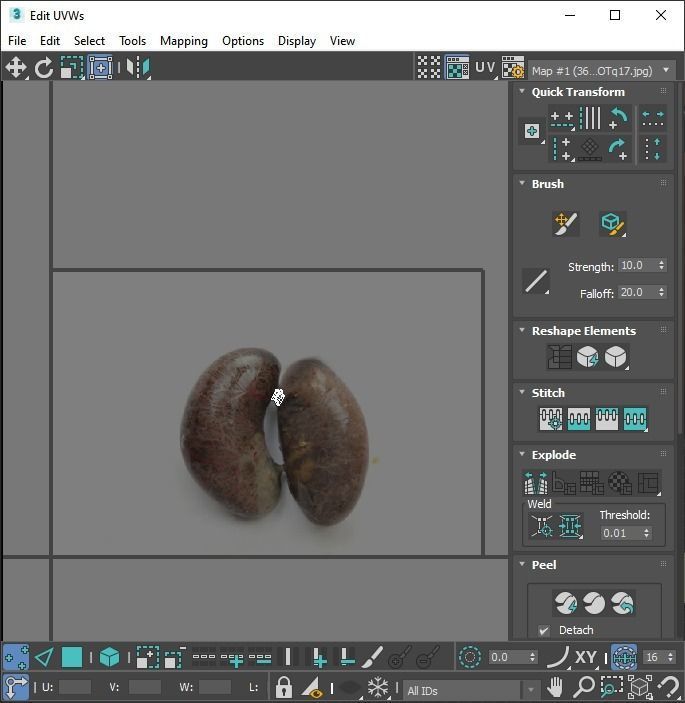 Chicken Kidneys 3D model_23