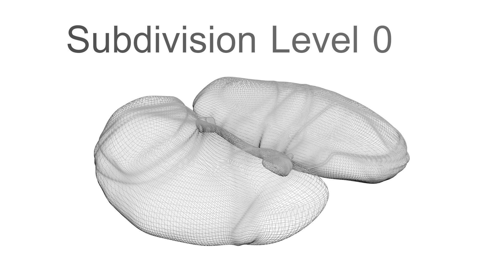 Chicken Kidneys 3D model_21