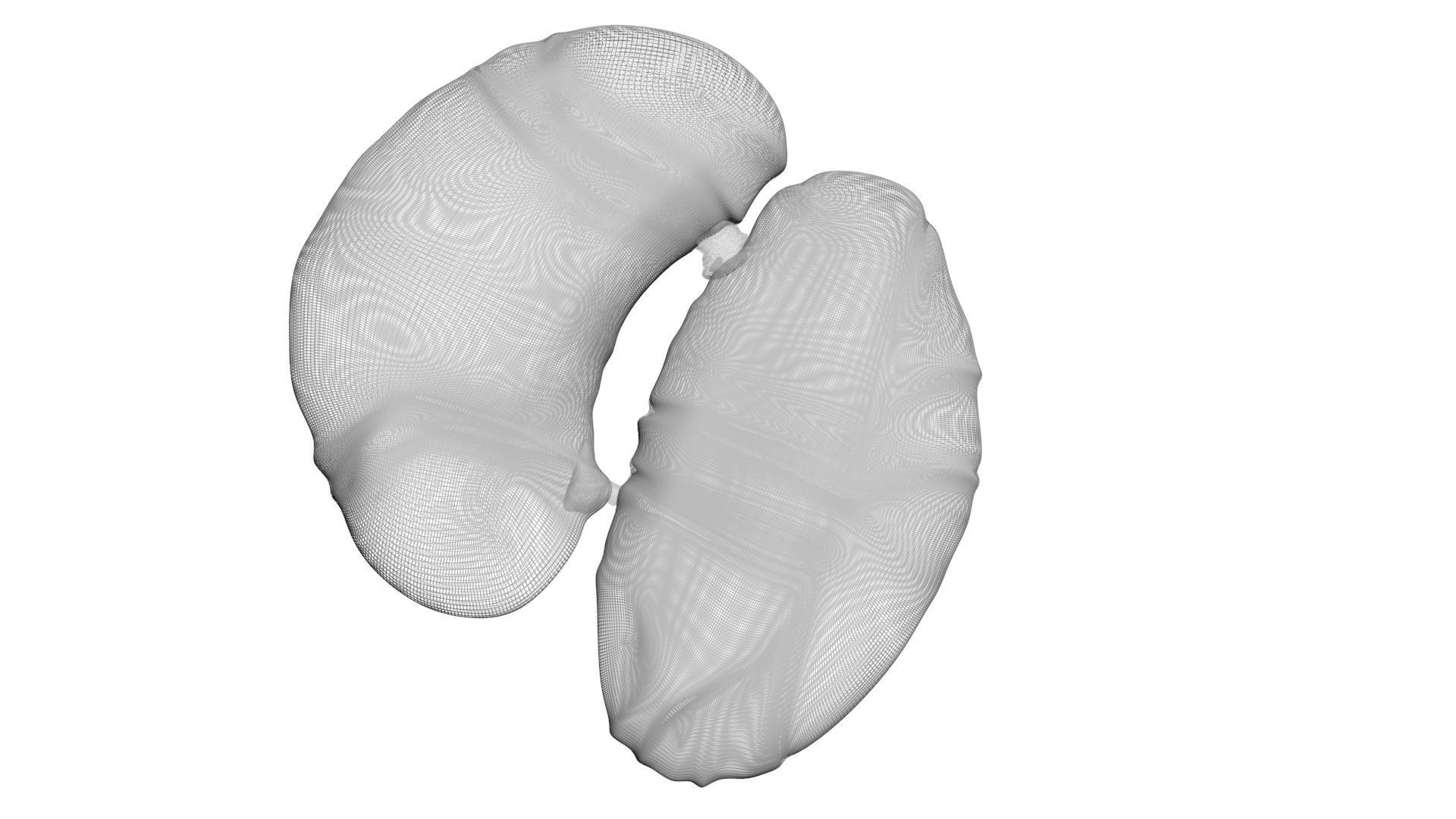 Chicken Kidneys 3D model_15