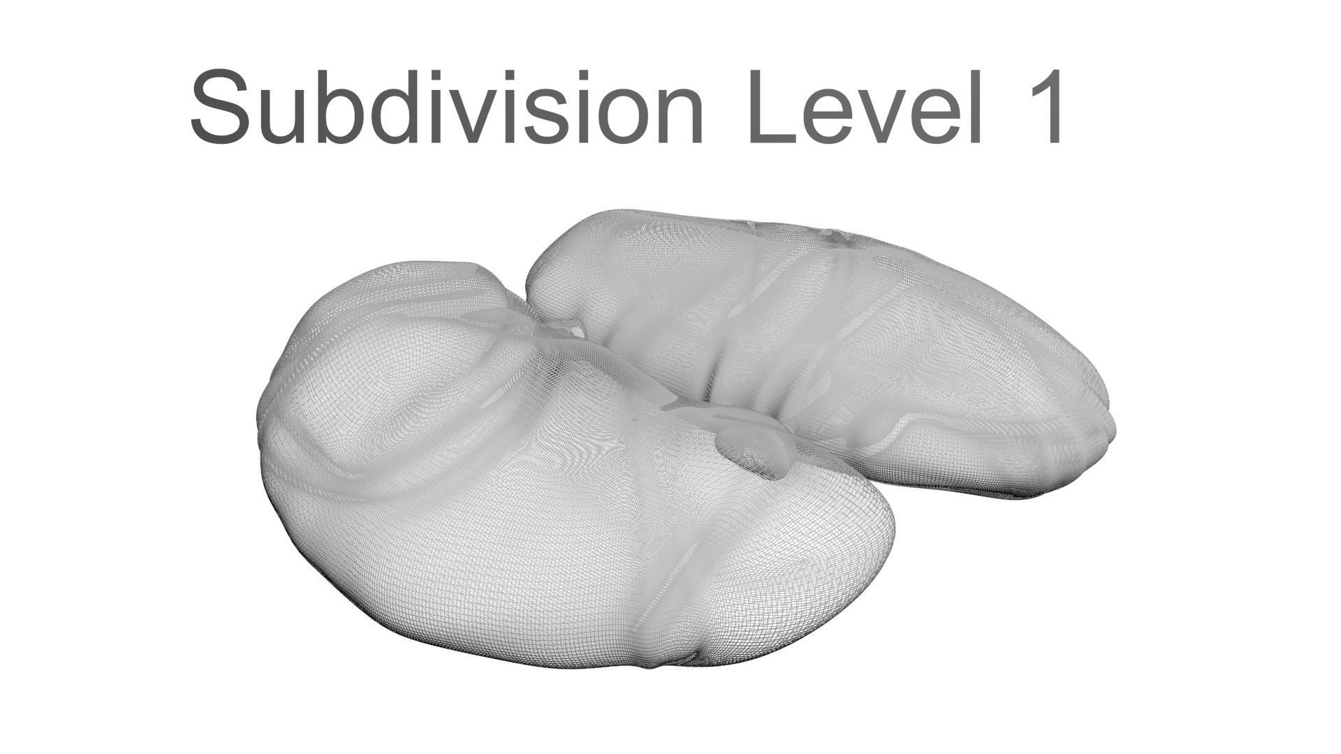 Chicken Kidneys 3D model_20