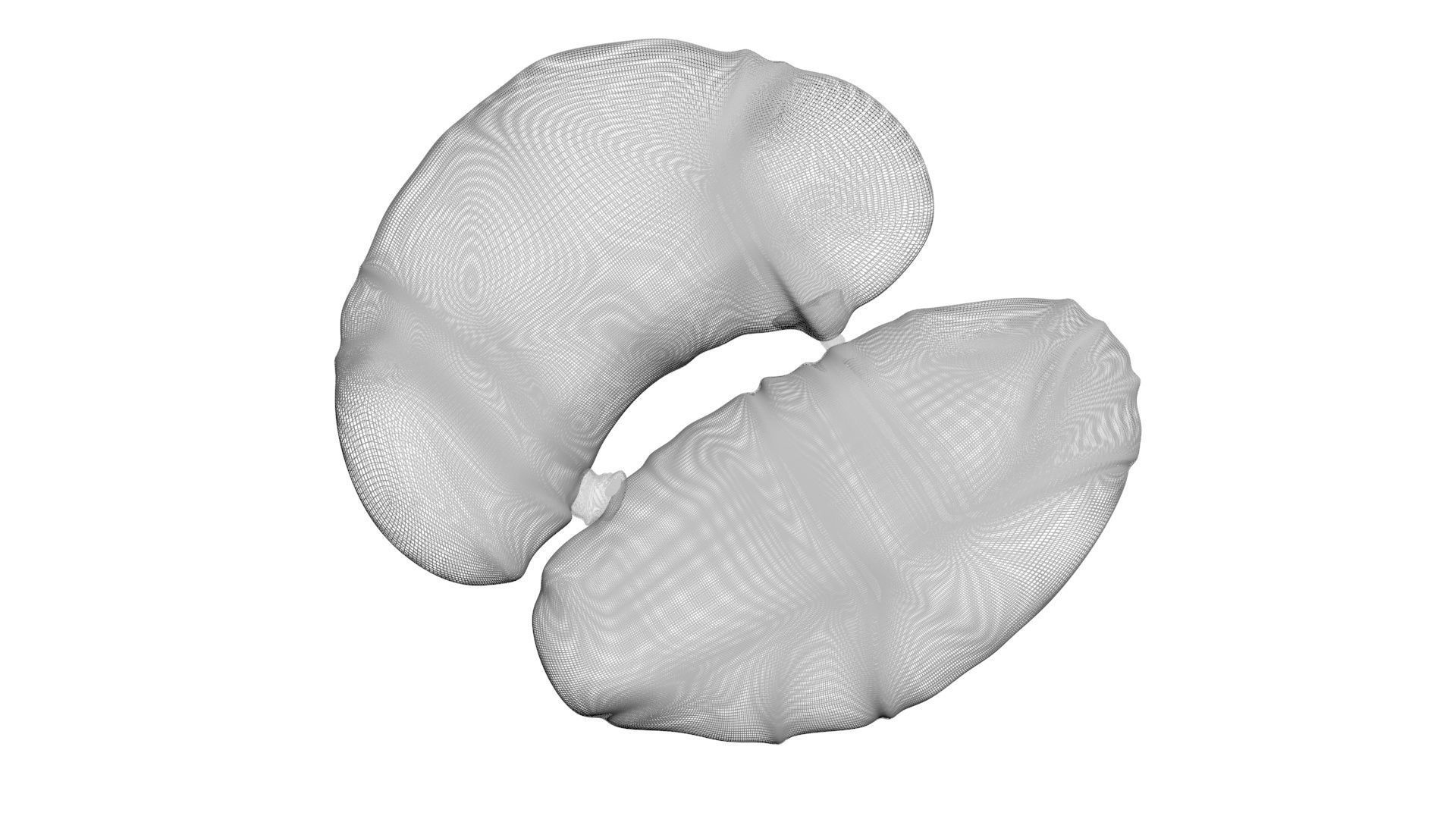 Chicken Kidneys 3D model_18