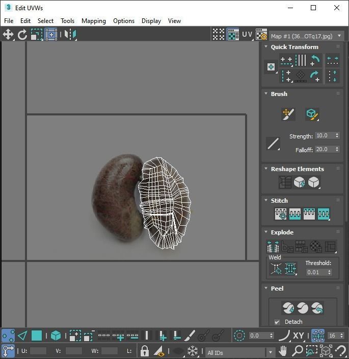 Chicken Kidneys 3D model_22