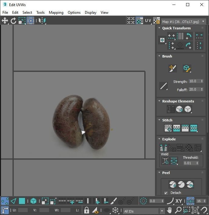 Chicken Kidneys 3D model_24