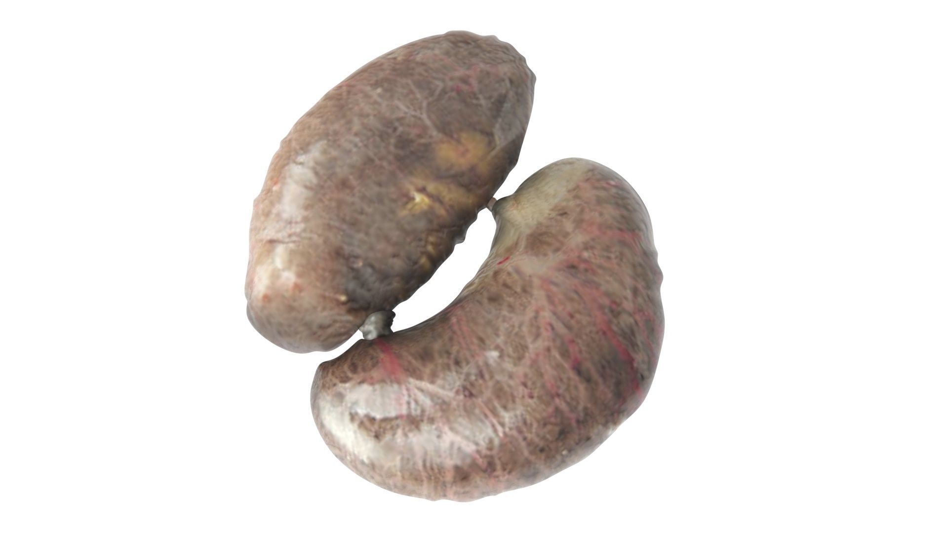 Chicken Kidneys 3D model_10