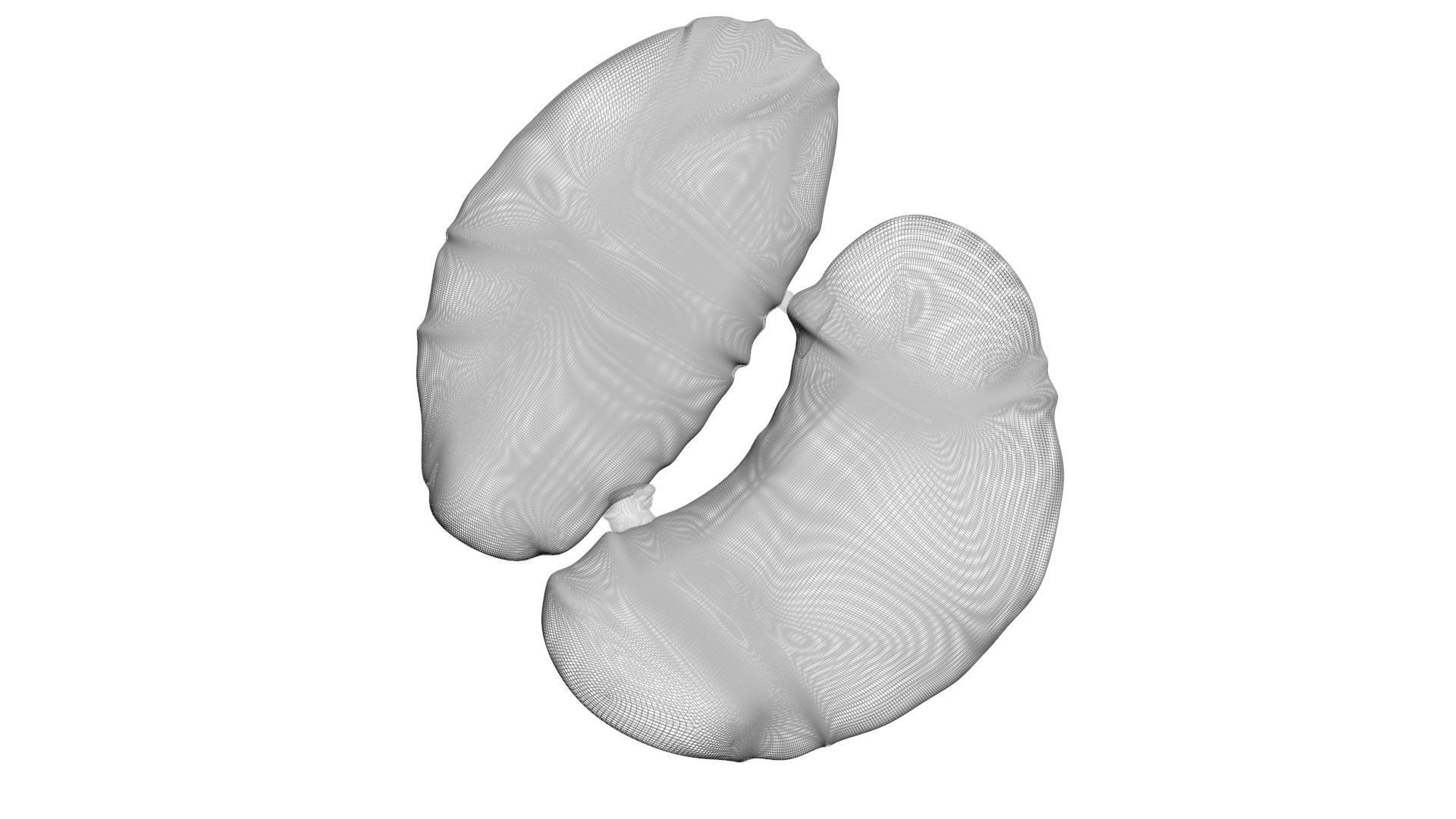 Chicken Kidneys 3D model_17