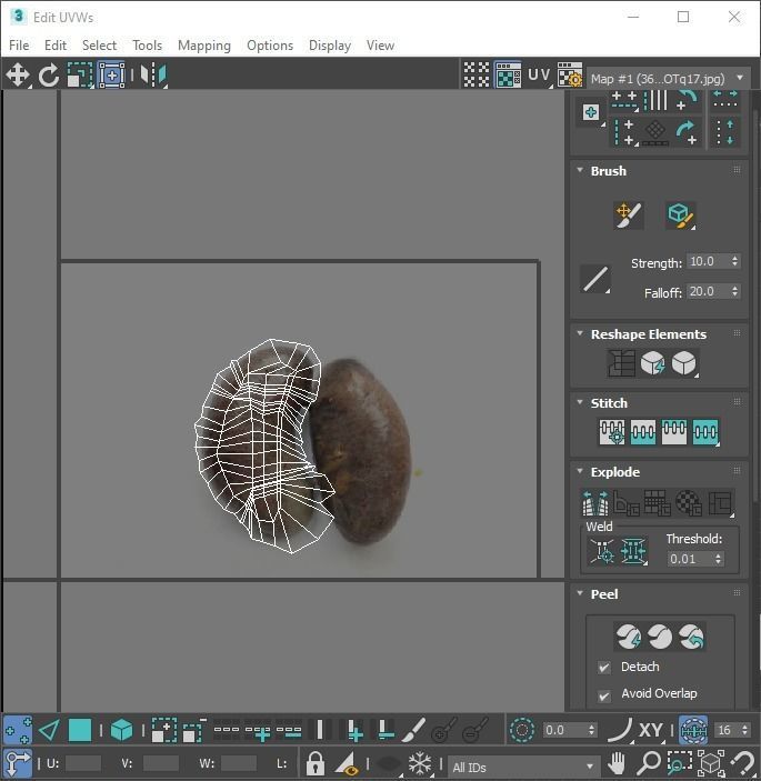 Chicken Kidneys 3D model_25