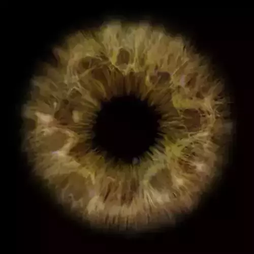 Eye model 